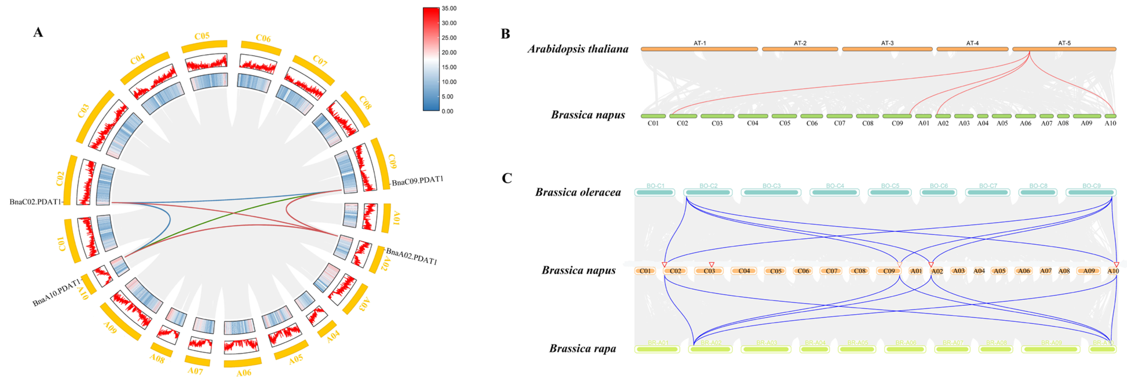 Agronomy 15 01204 g003