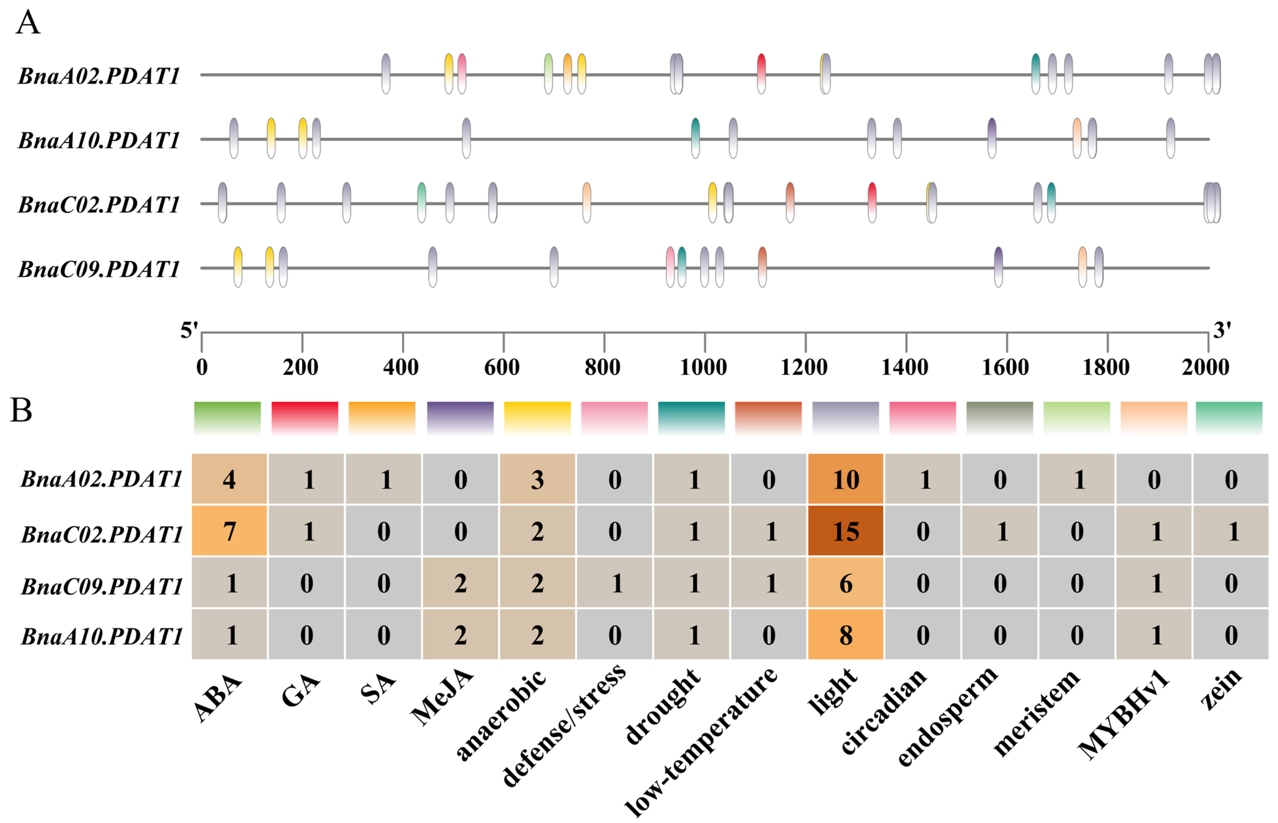 Agronomy 15 01204 g004