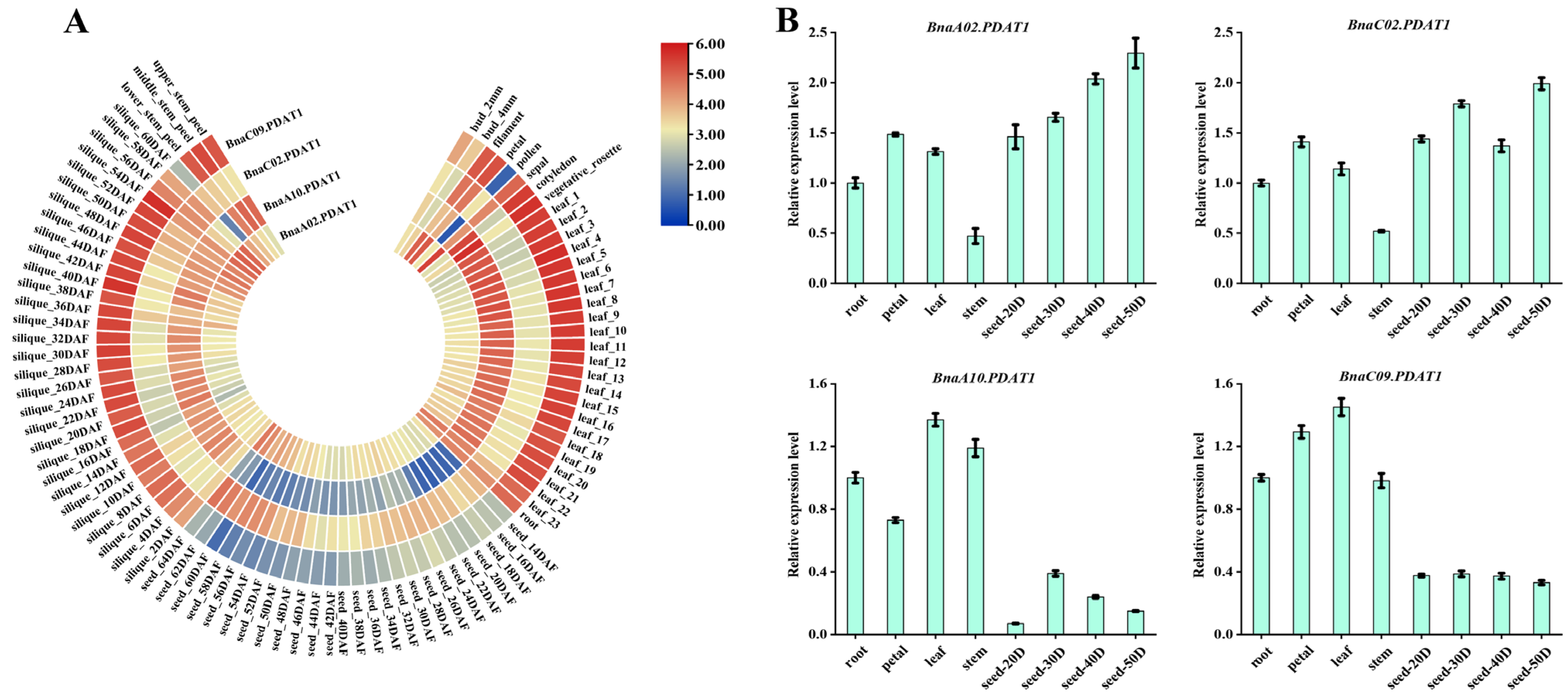 Agronomy 15 01204 g005