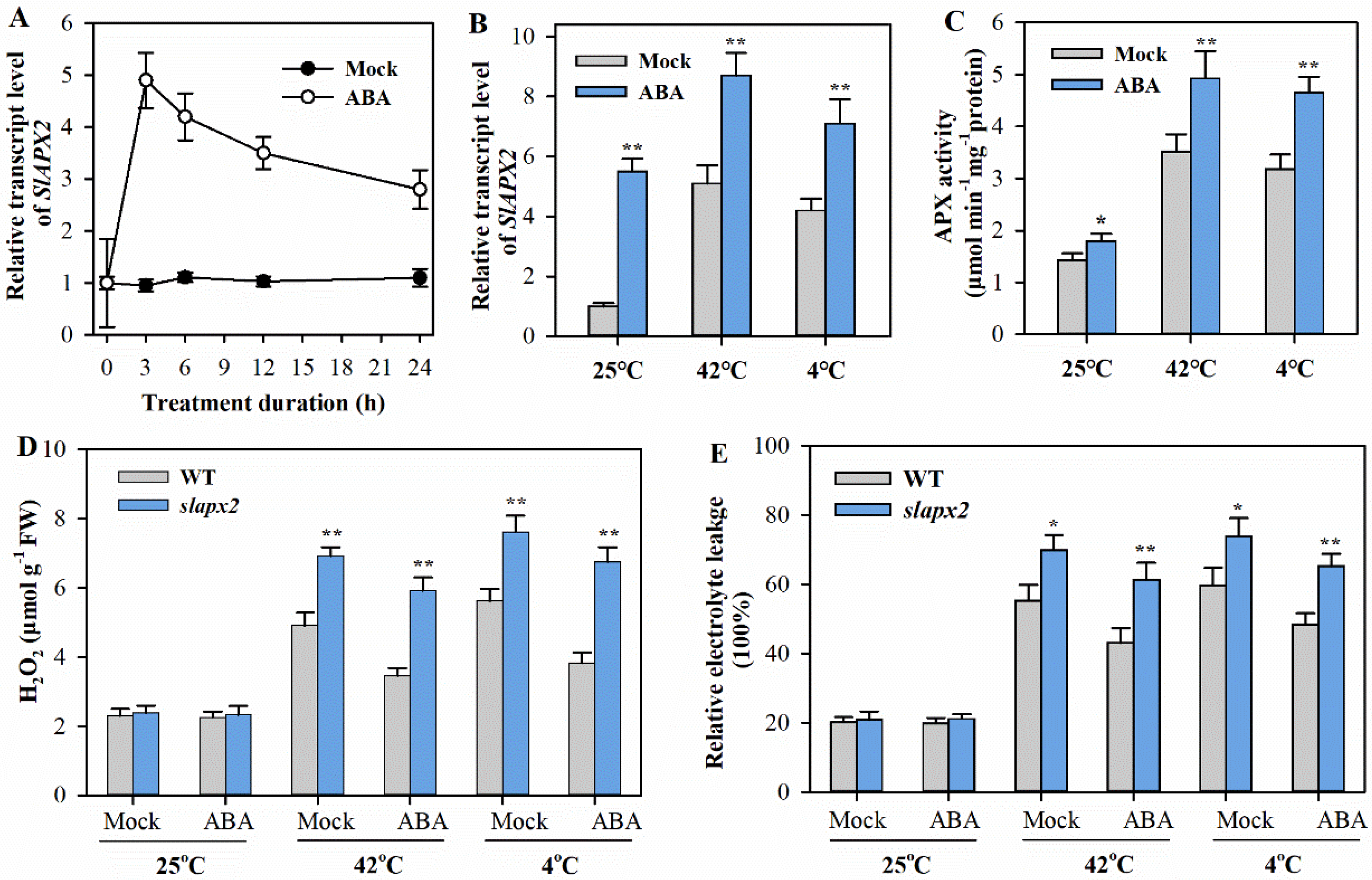 Agronomy 15 01206 g004