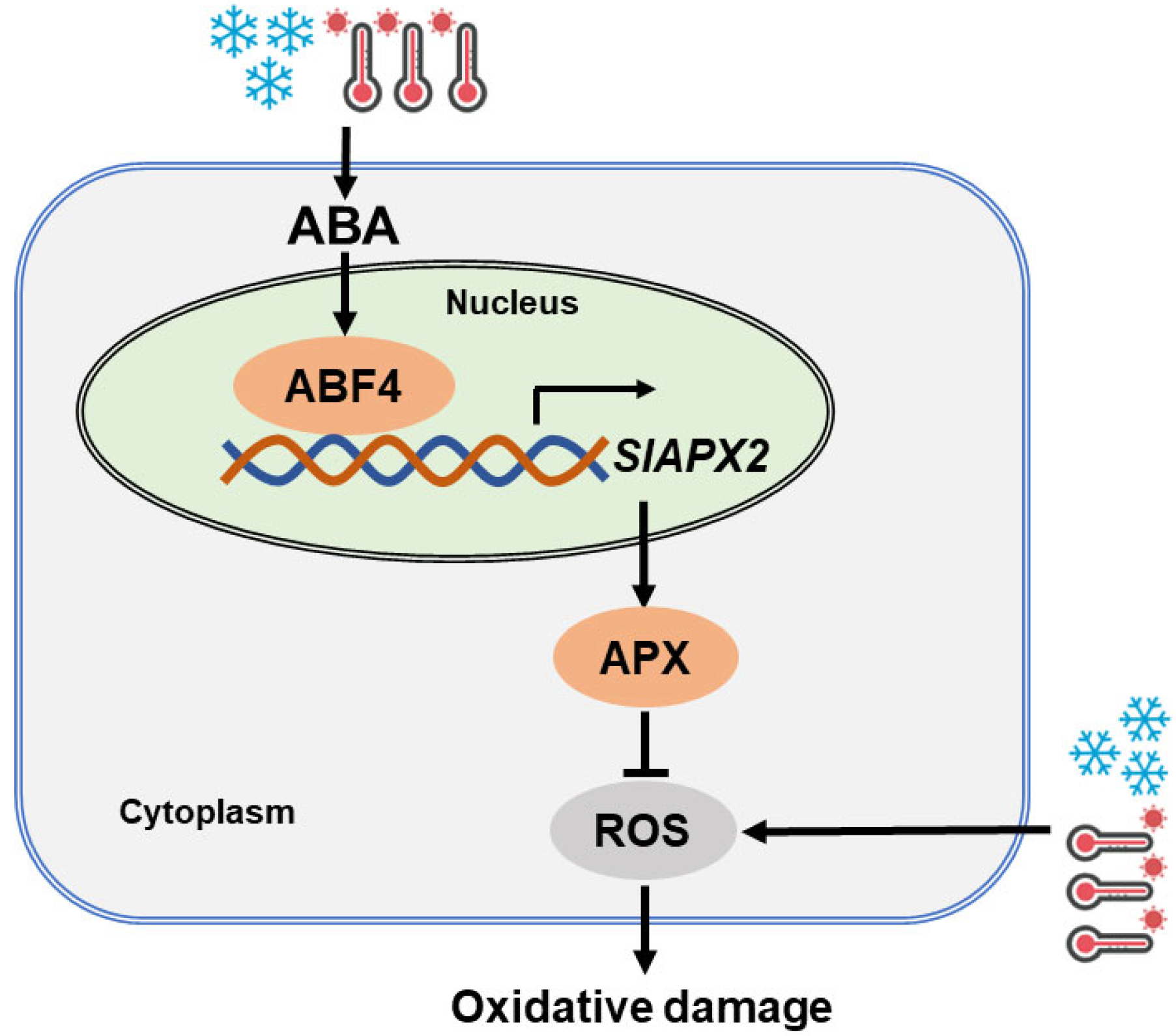 Agronomy 15 01206 g007
