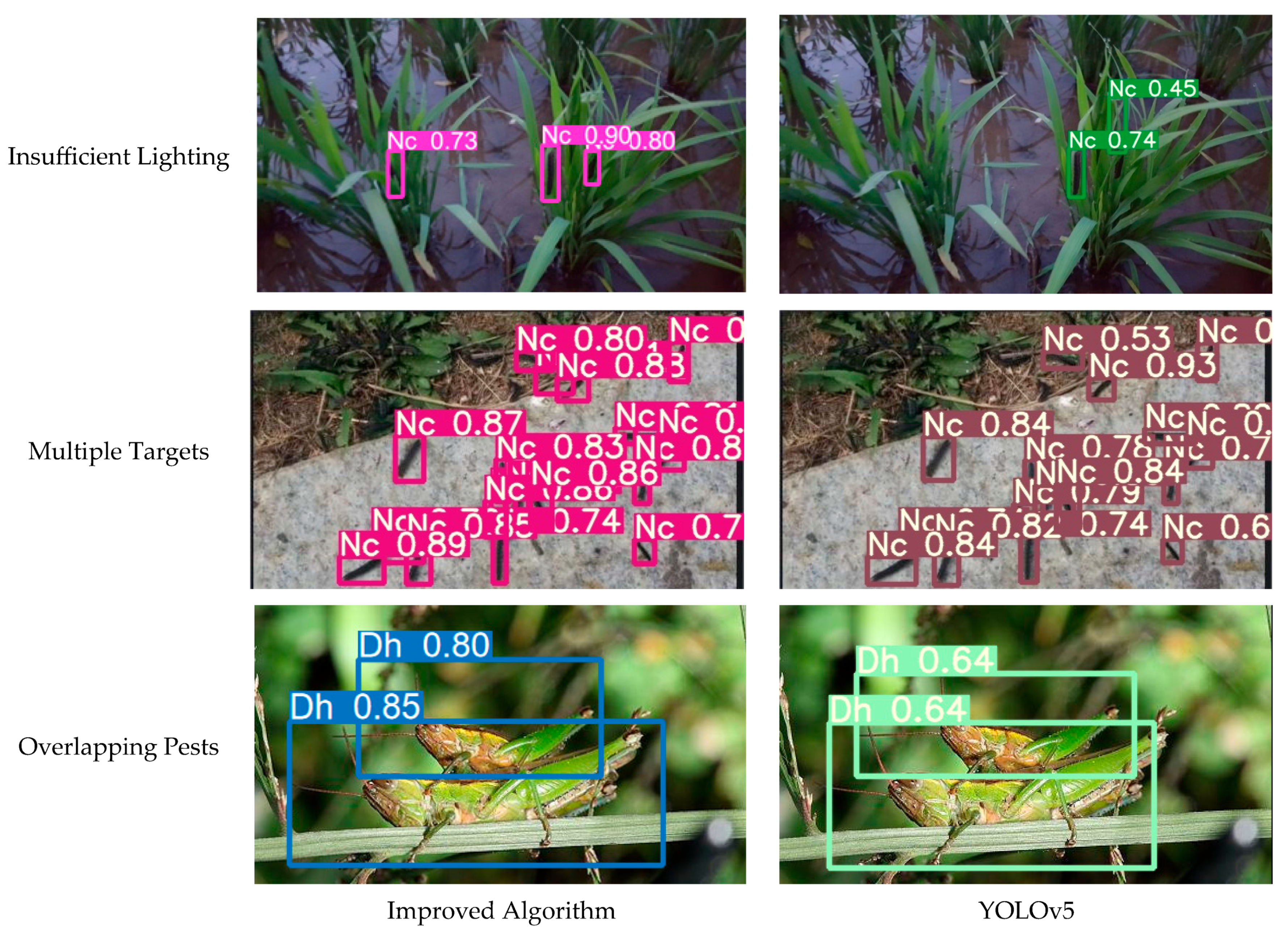 Agronomy 15 01214 g013