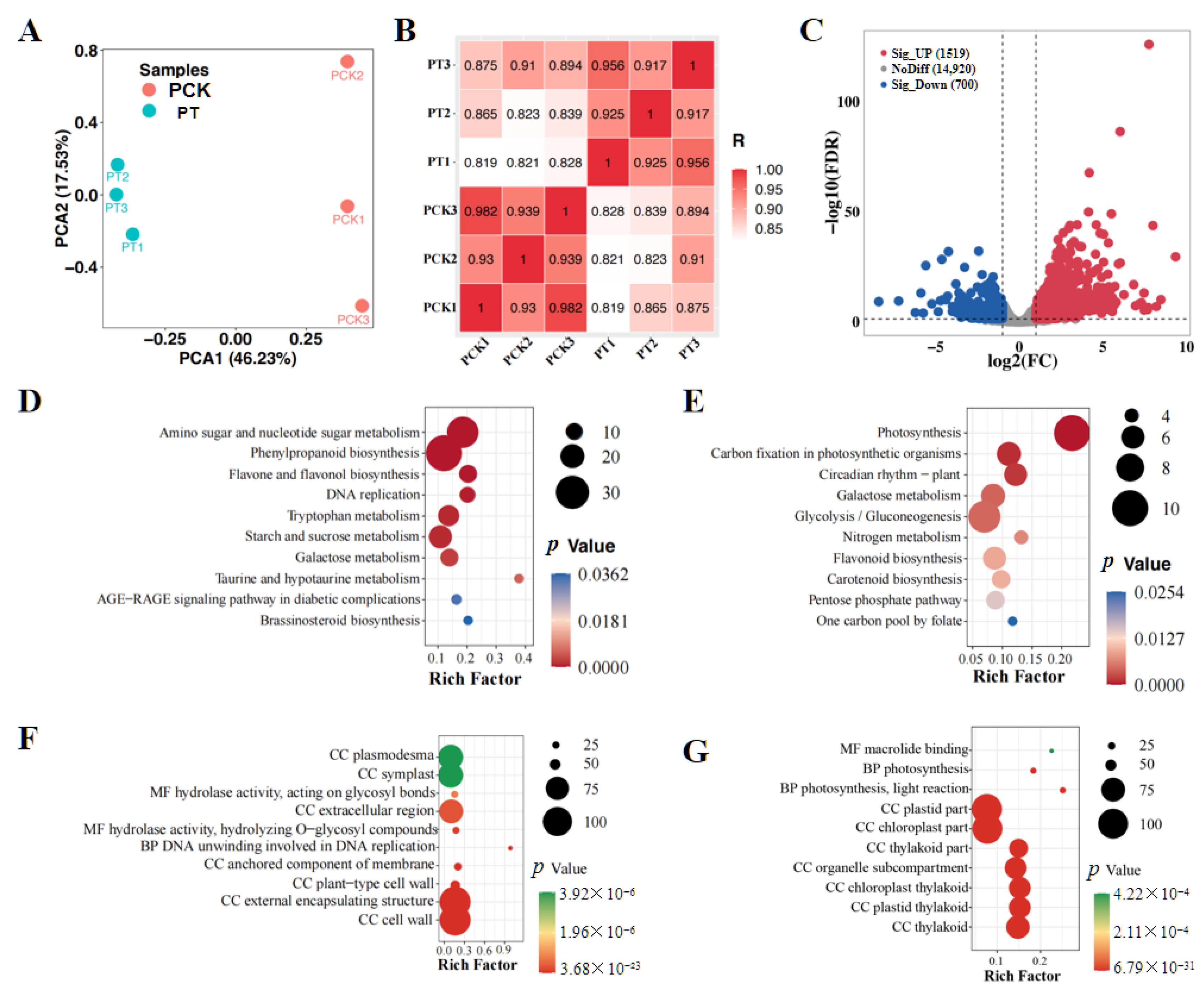 Agronomy 15 01218 g001