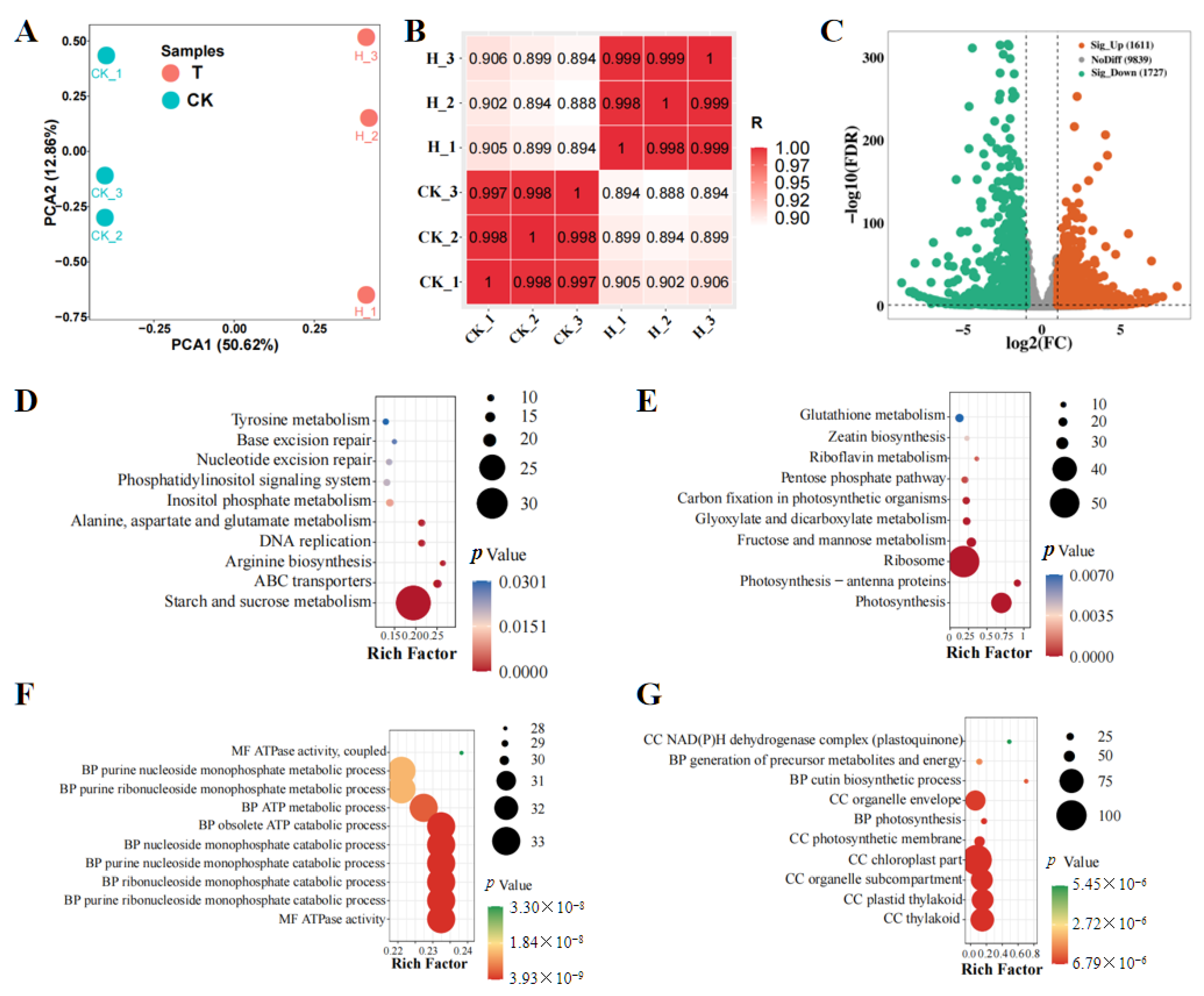 Agronomy 15 01218 g002