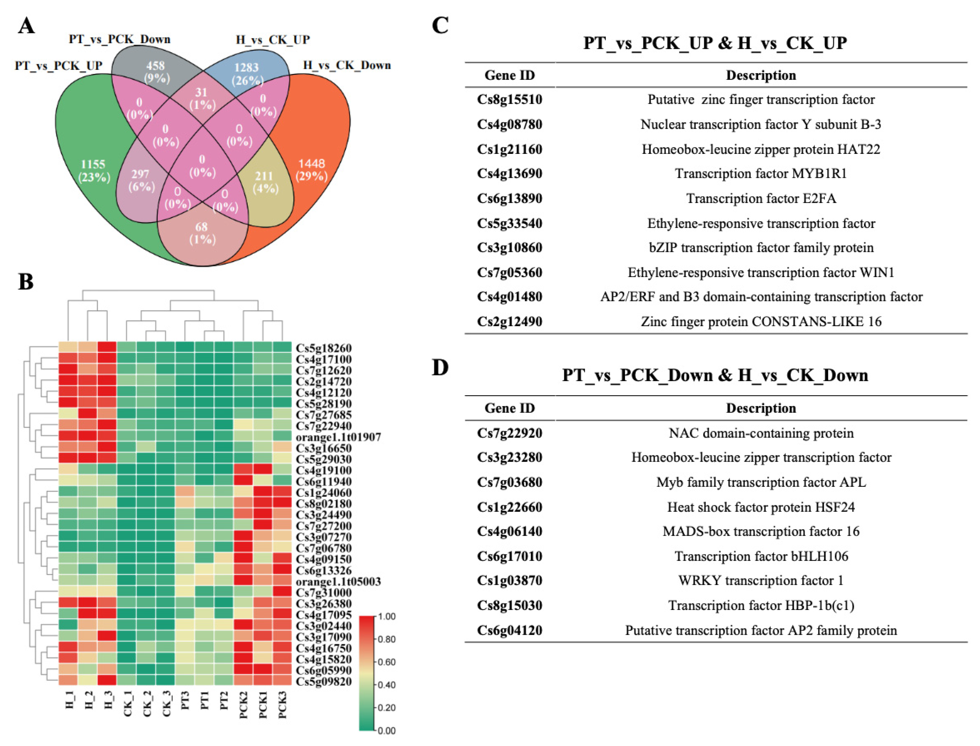 Agronomy 15 01218 g003