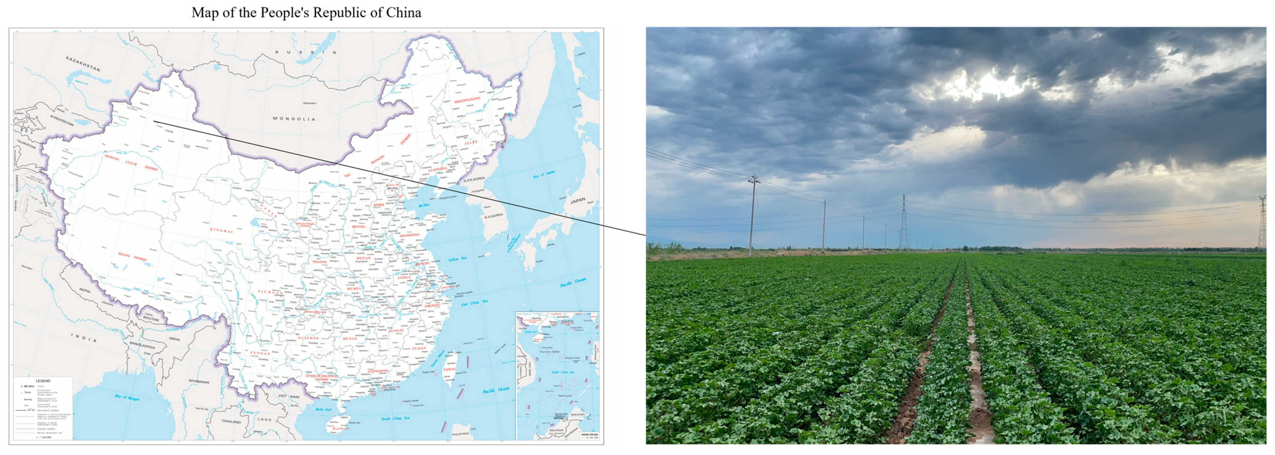 Agronomy 15 01221 g001