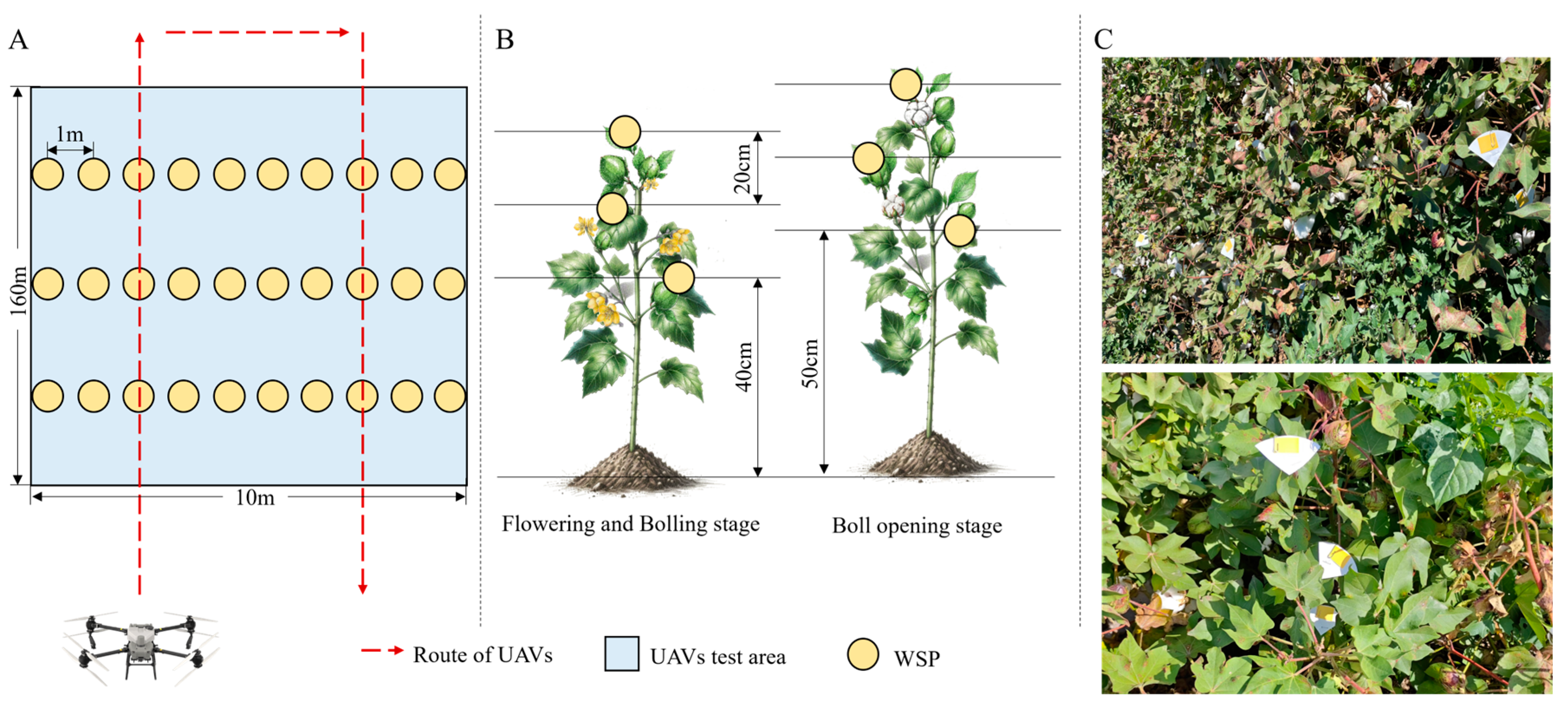 Agronomy 15 01221 g003