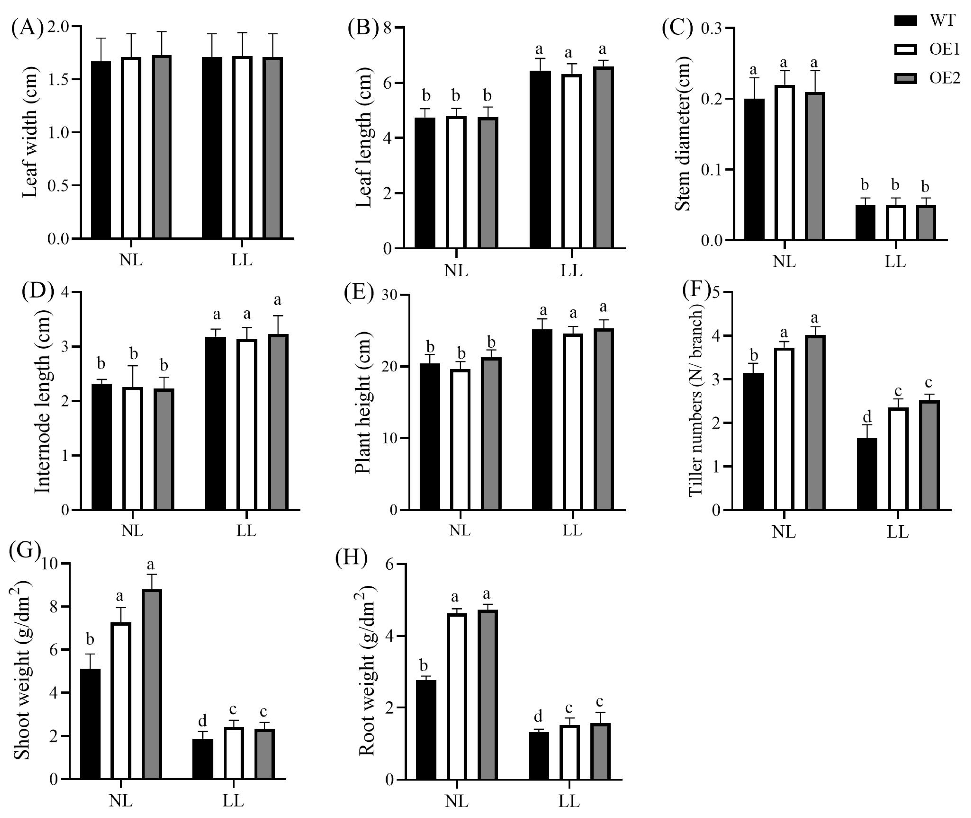 Agronomy 15 01225 g001 Agronomy 15 01225 g001