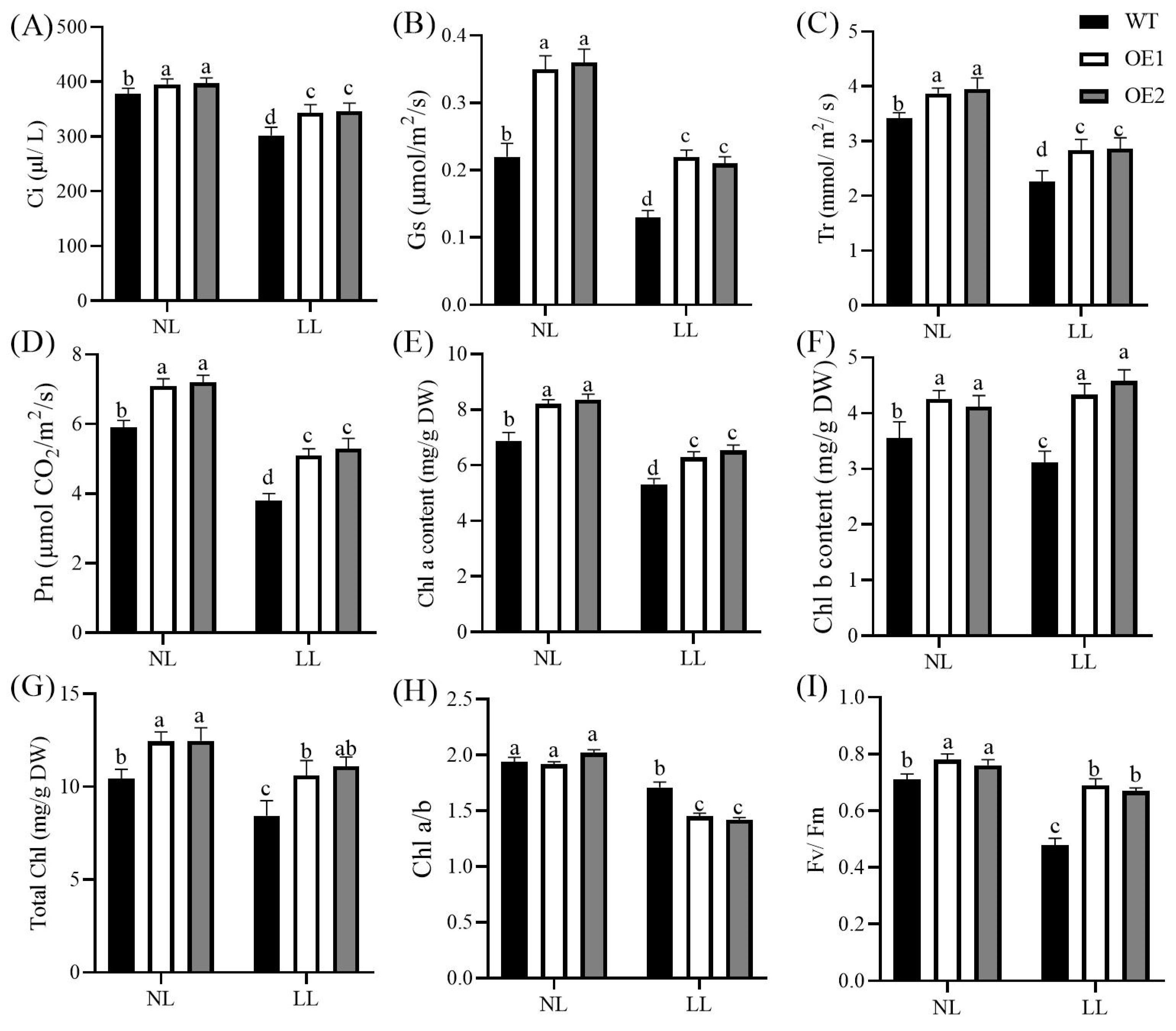 Agronomy 15 01225 g003 Agronomy 15 01225 g003