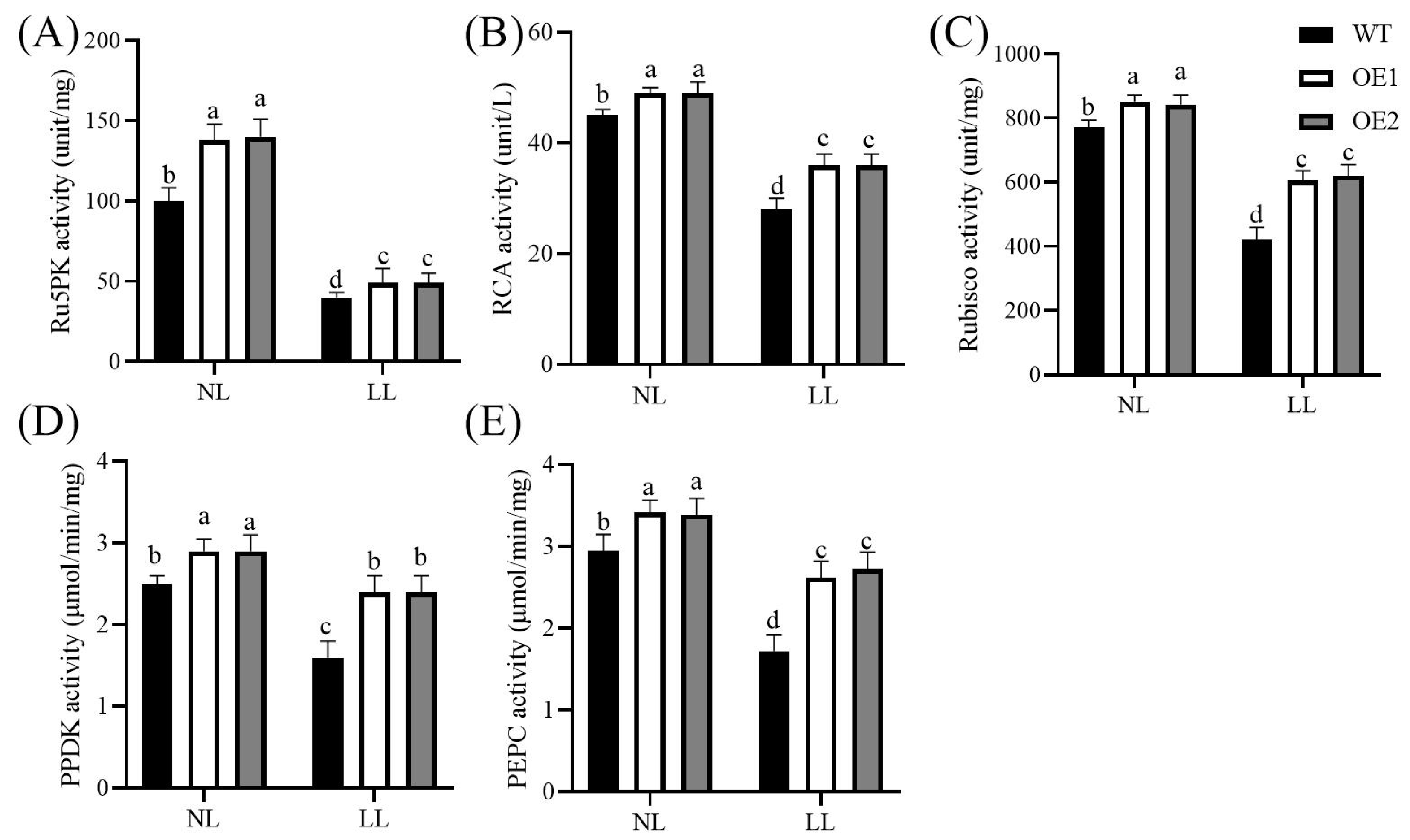 Agronomy 15 01225 g004 Agronomy 15 01225 g004