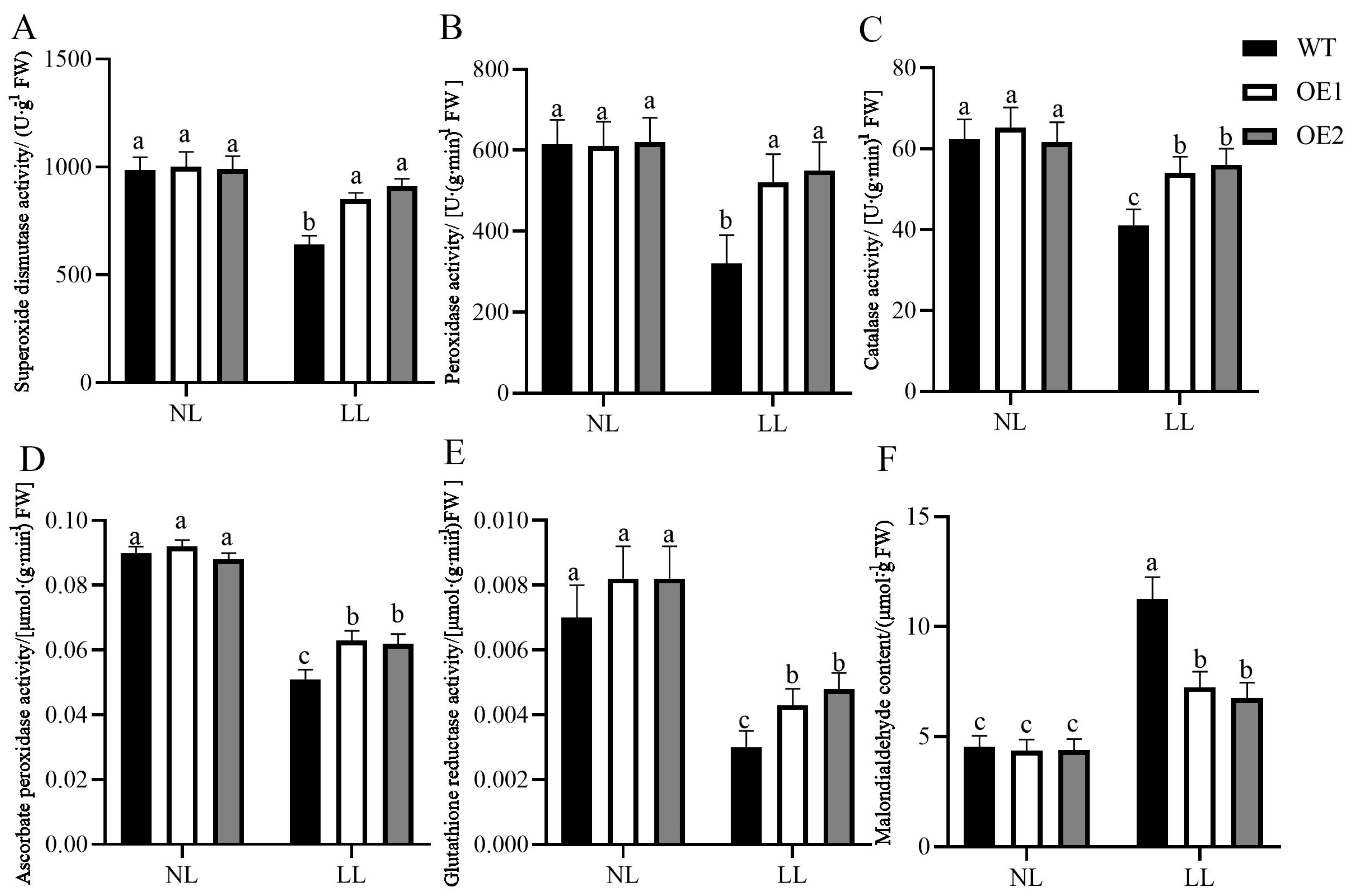 Agronomy 15 01225 g005 Agronomy 15 01225 g005