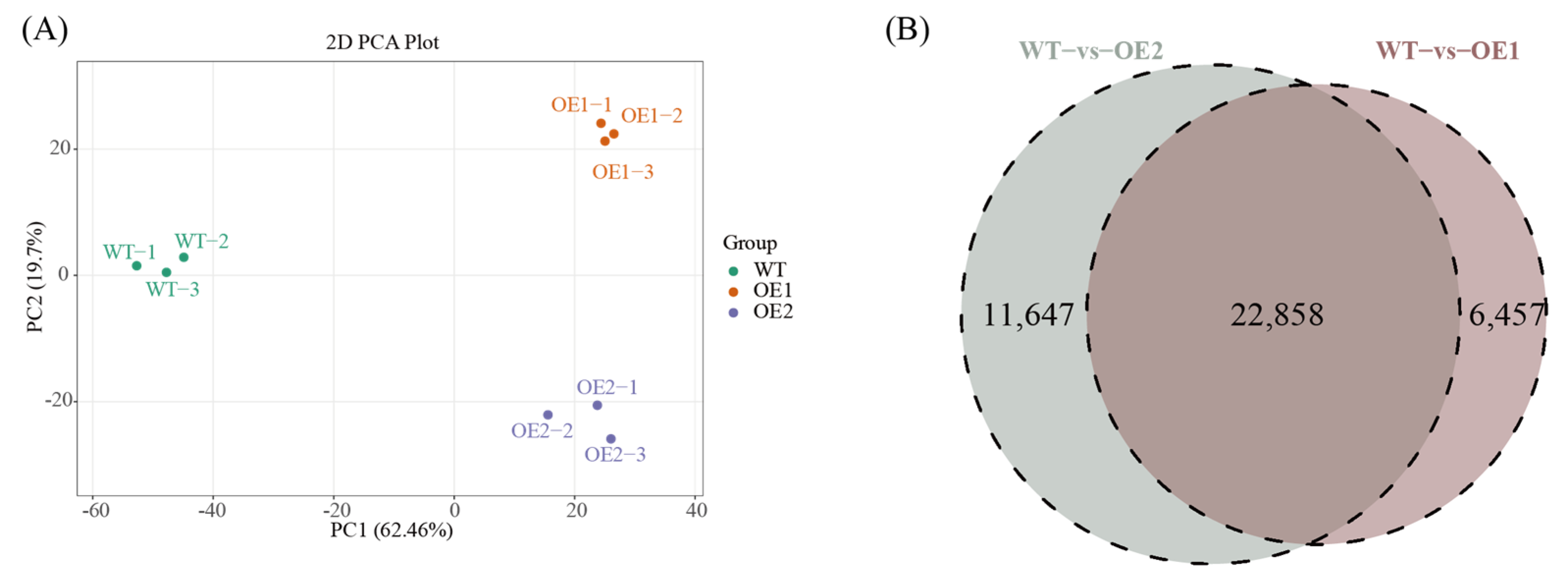 Agronomy 15 01225 g006 Agronomy 15 01225 g006