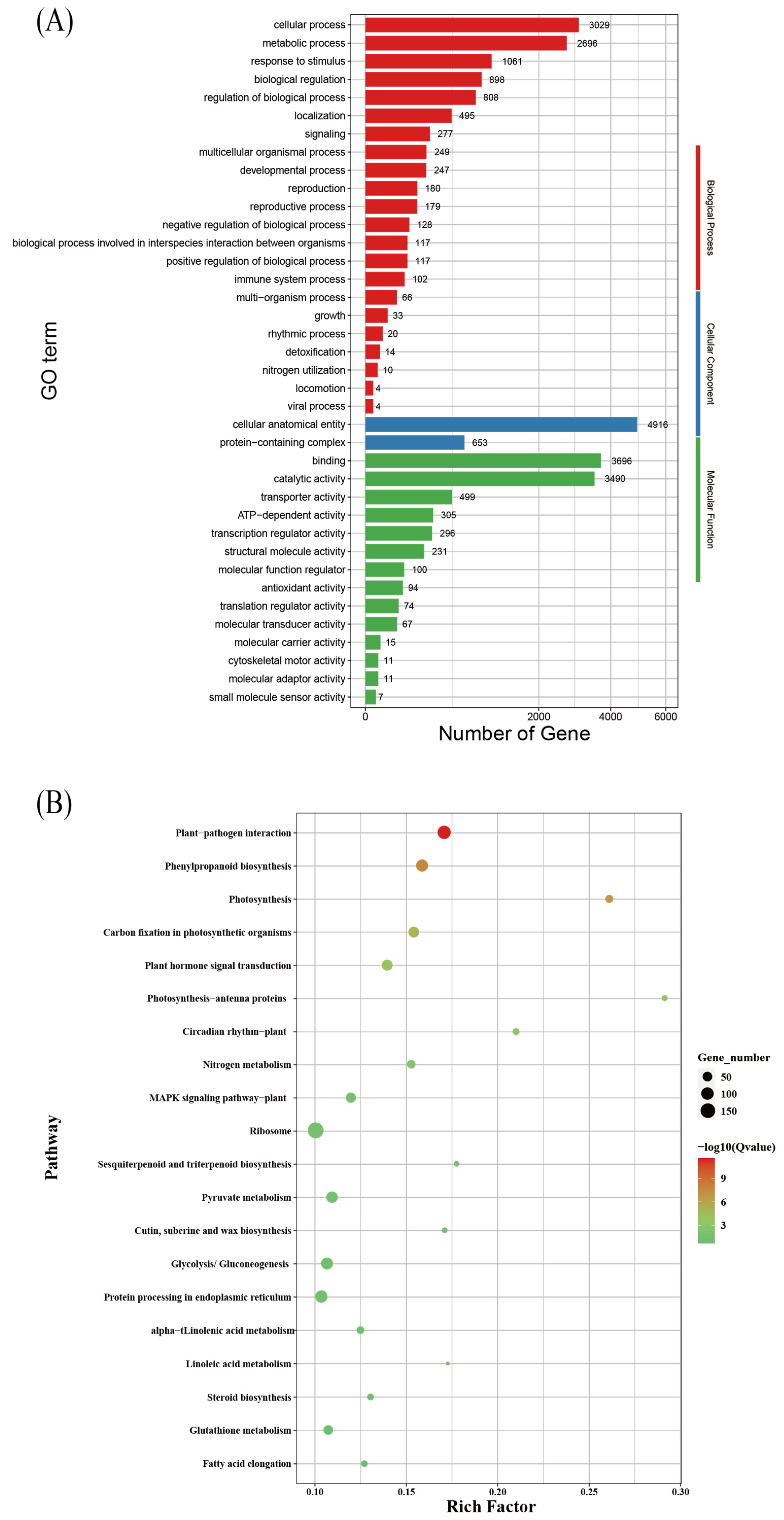 Agronomy 15 01225 g007 Agronomy 15 01225 g007