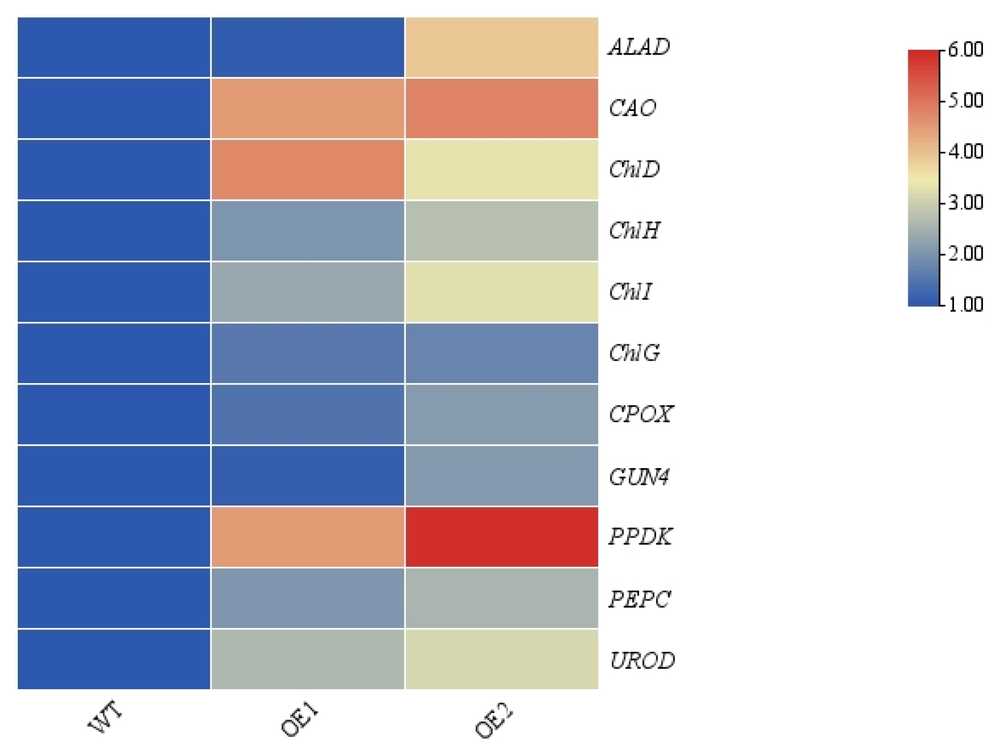 Agronomy 15 01225 g009 Agronomy 15 01225 g009