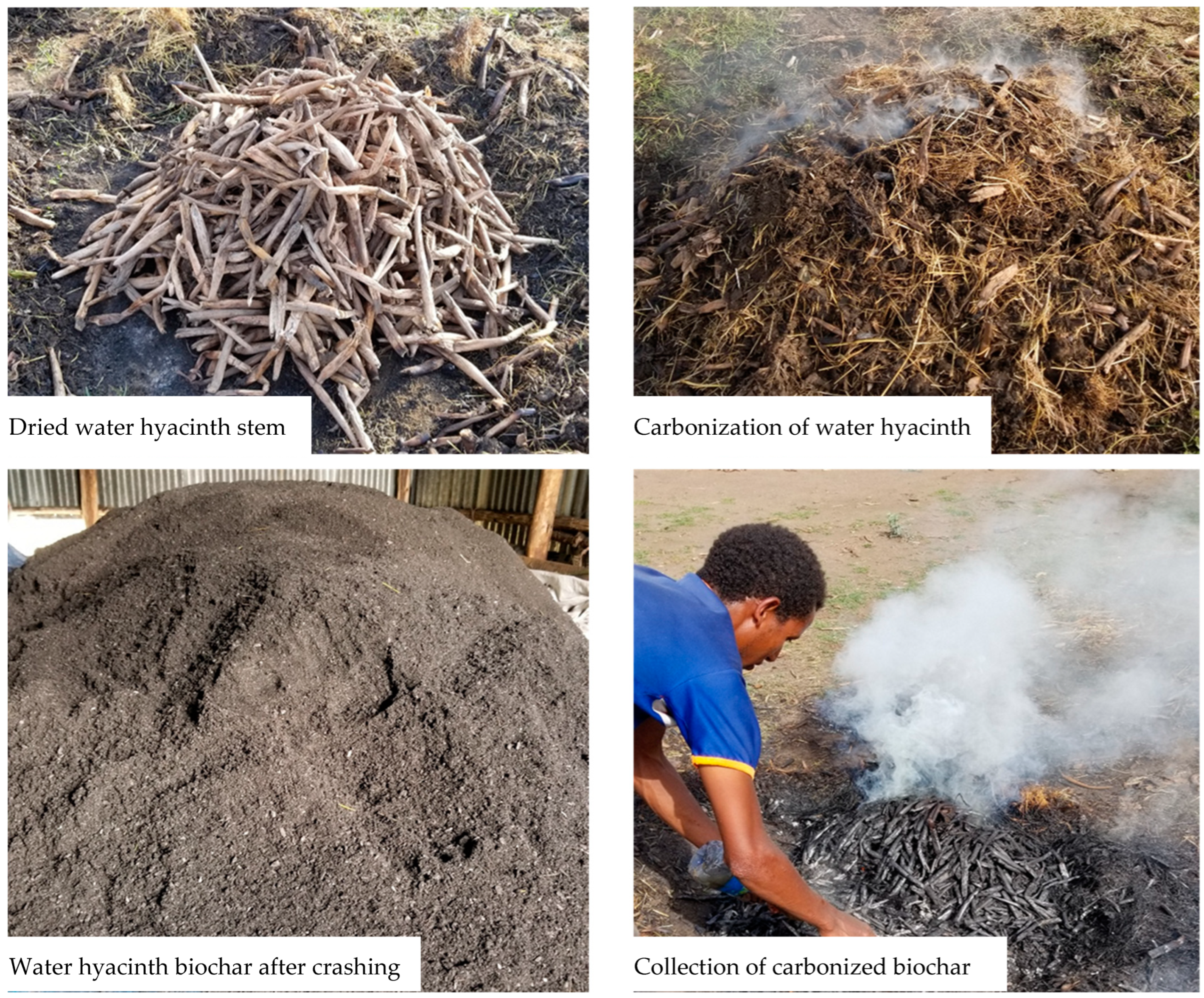 Agronomy 15 01227 g002