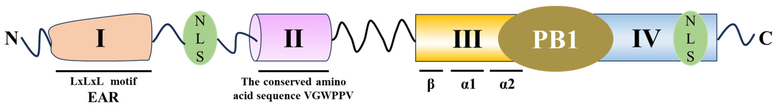 Agronomy 15 01228 g001