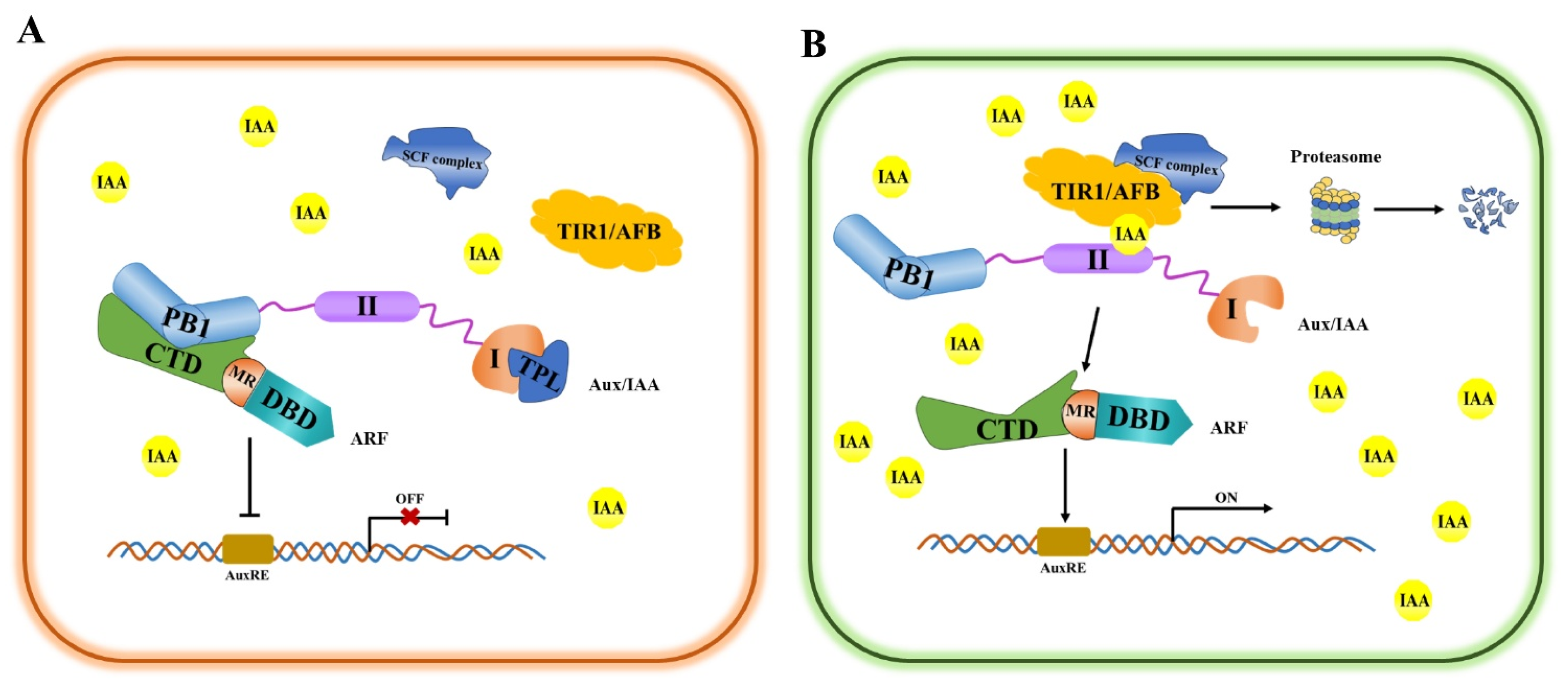 Agronomy 15 01228 g002