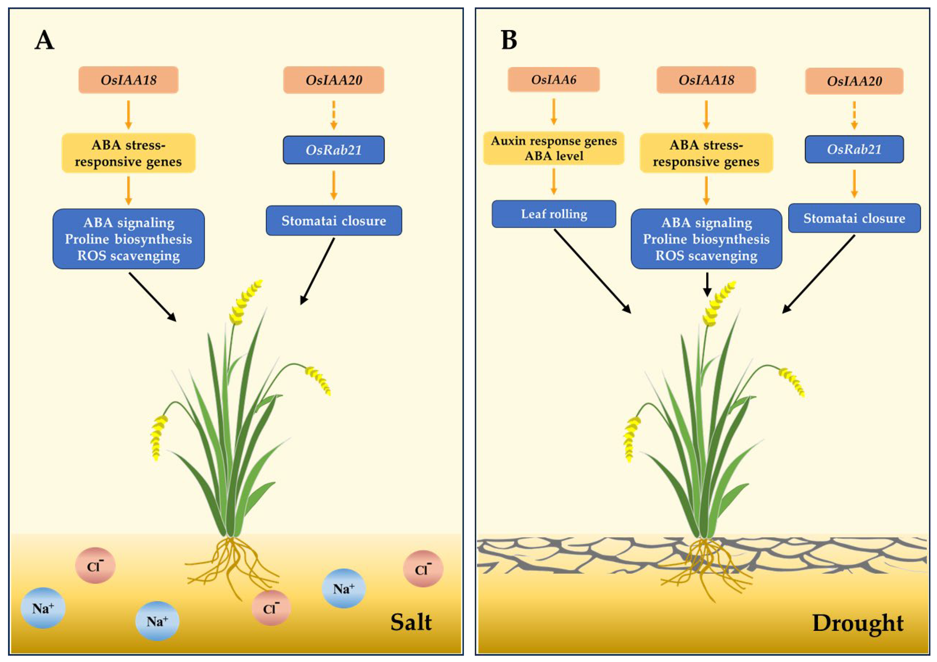 Agronomy 15 01228 g006