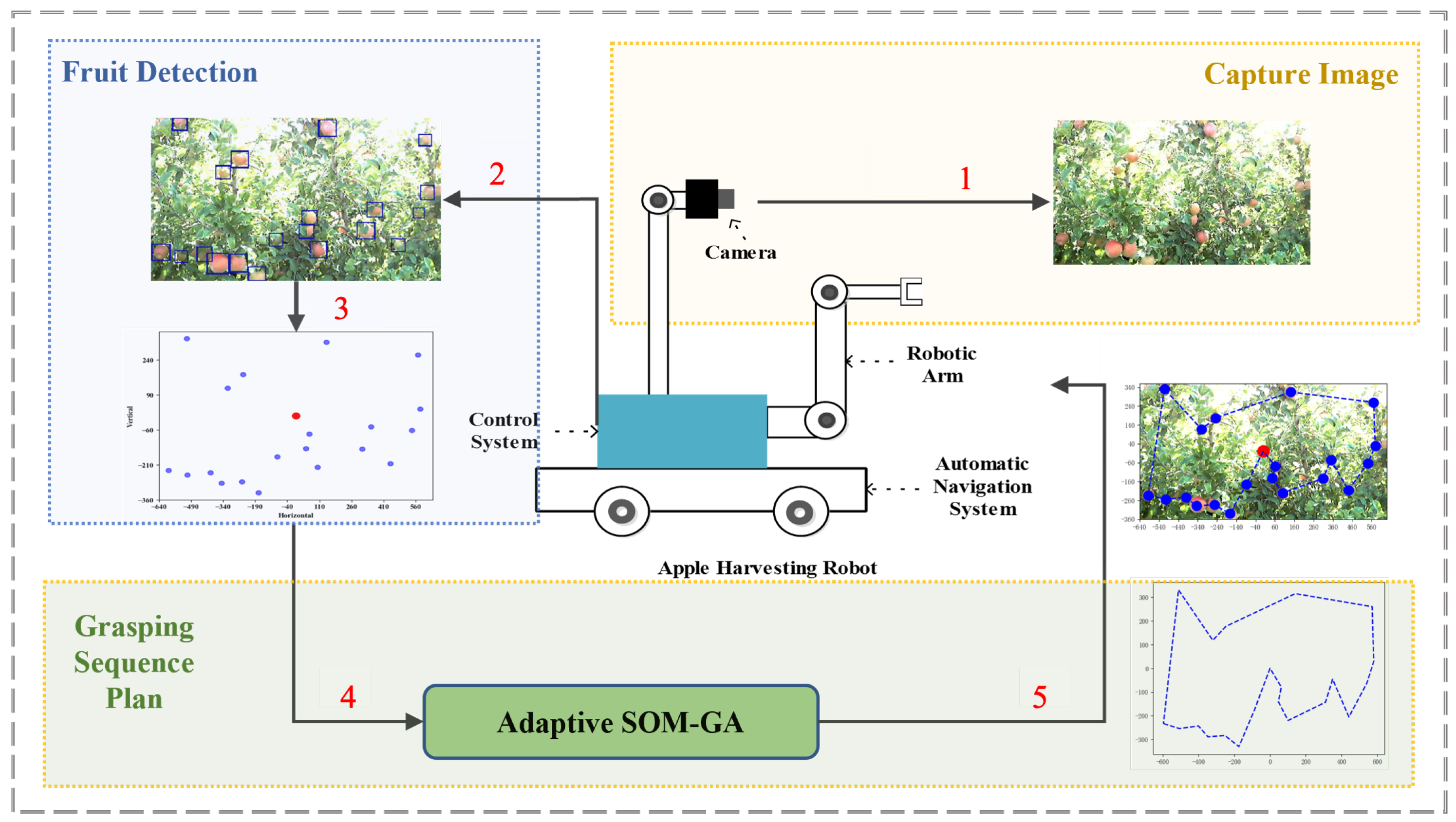 Agronomy 15 01230 g001