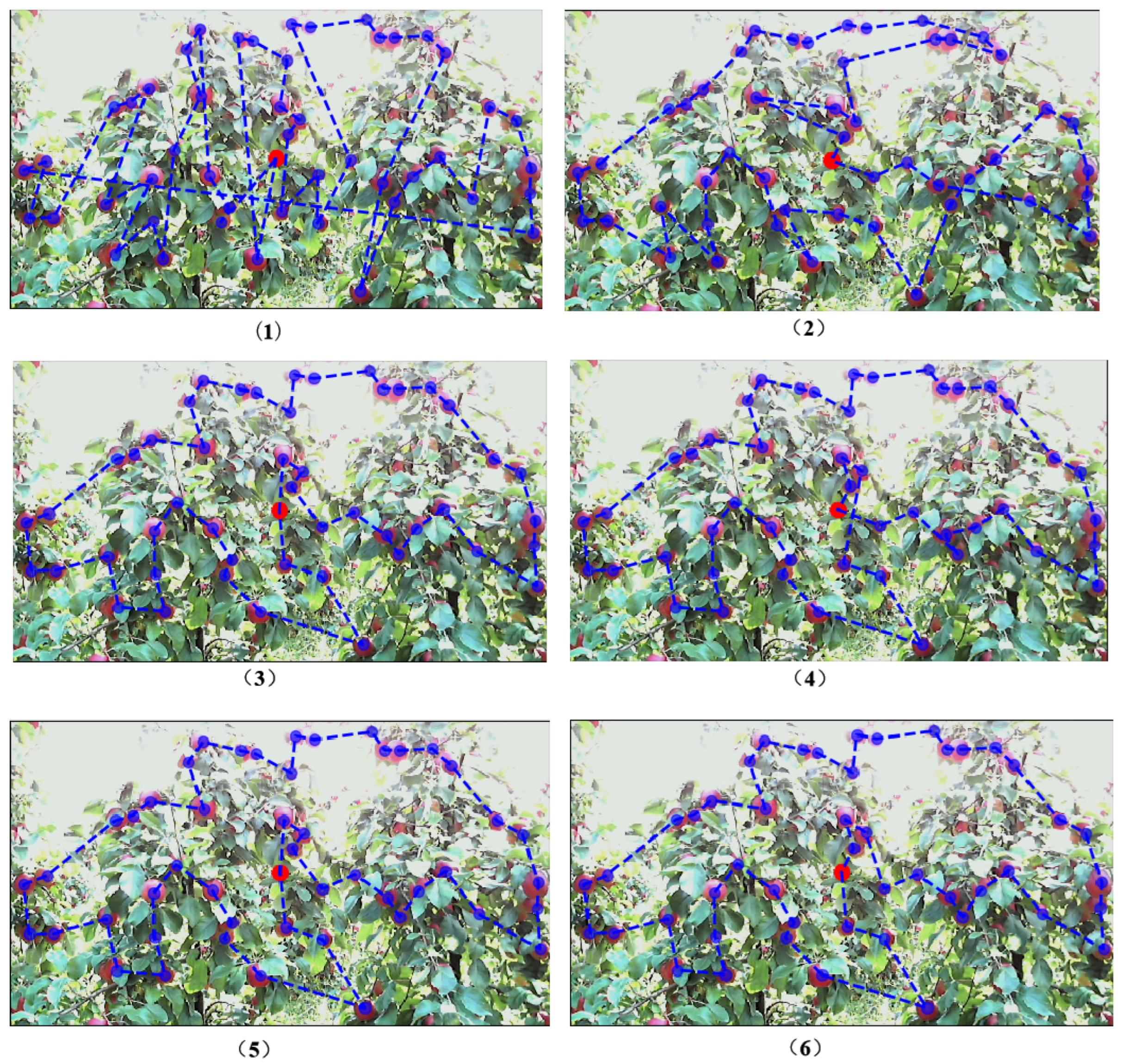 Agronomy 15 01230 g007