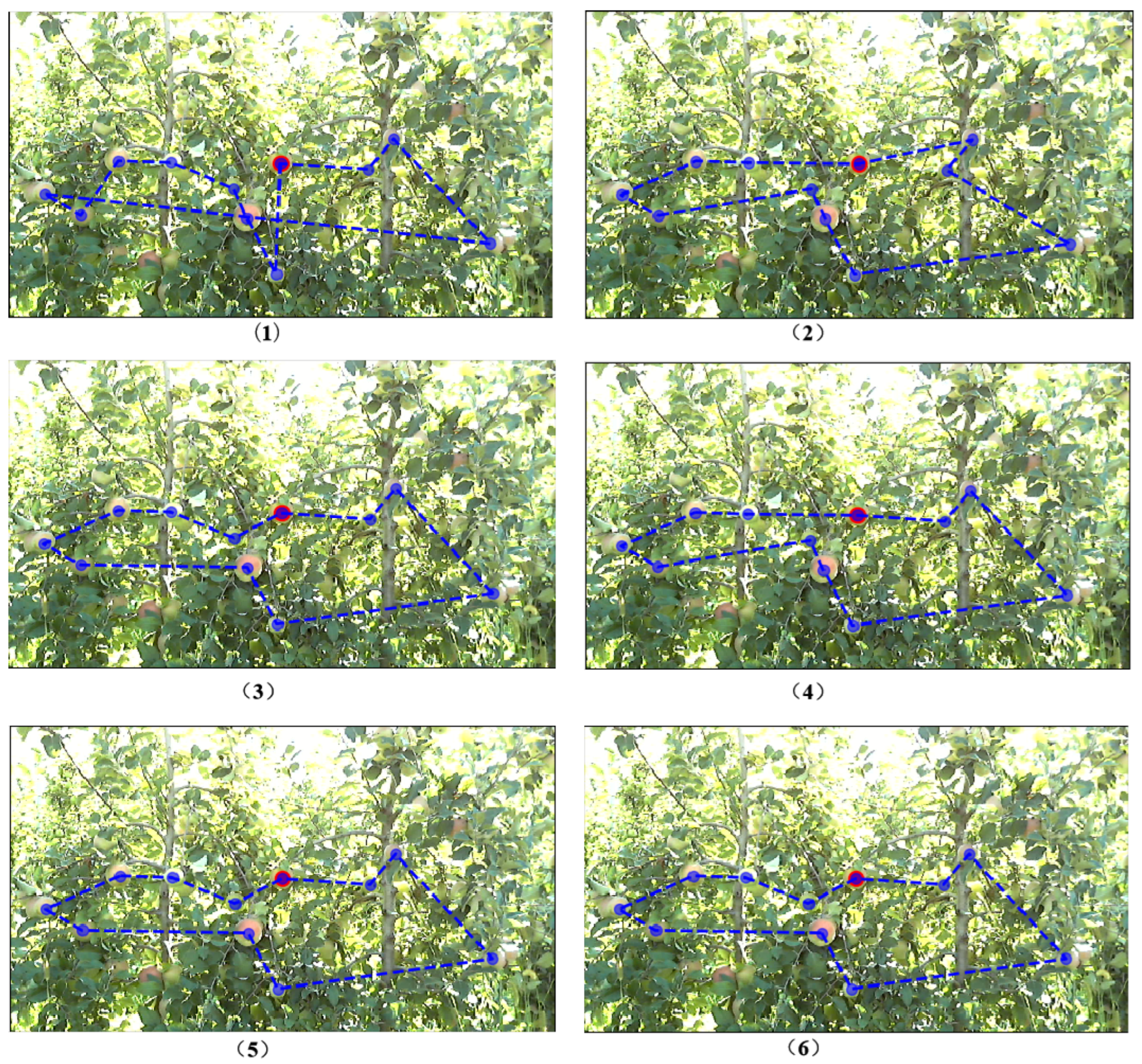 Agronomy 15 01230 g008