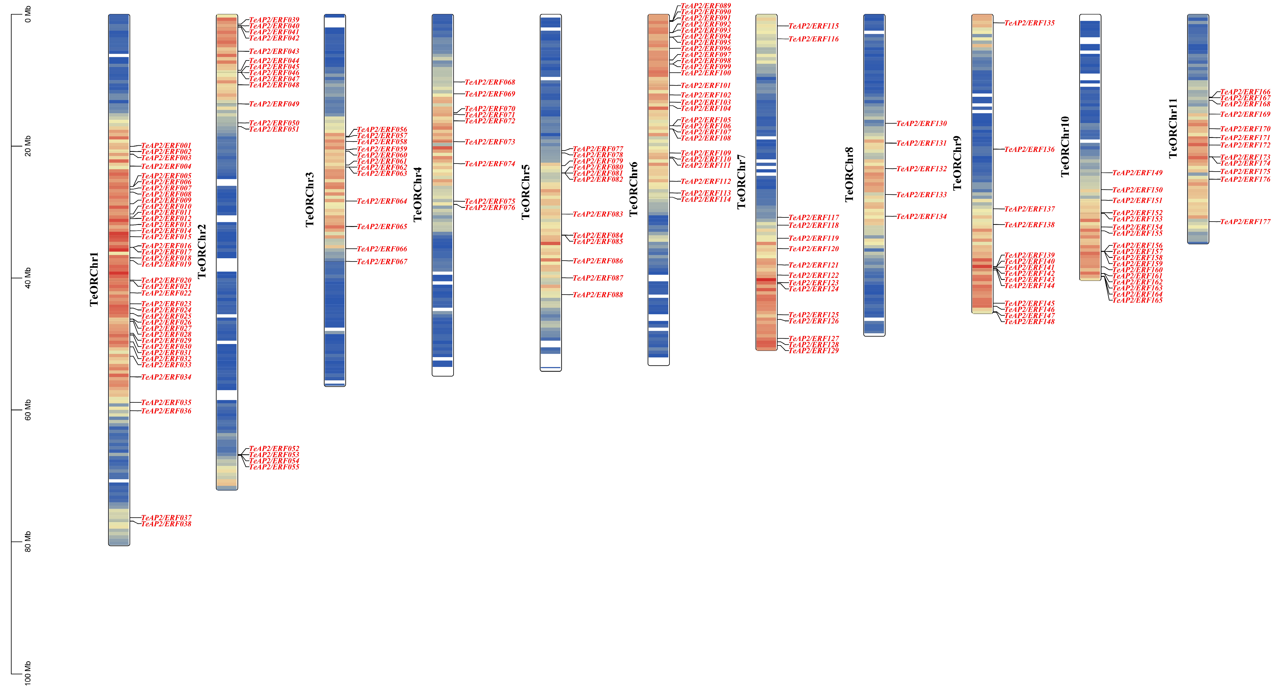 Agronomy 15 01231 g002