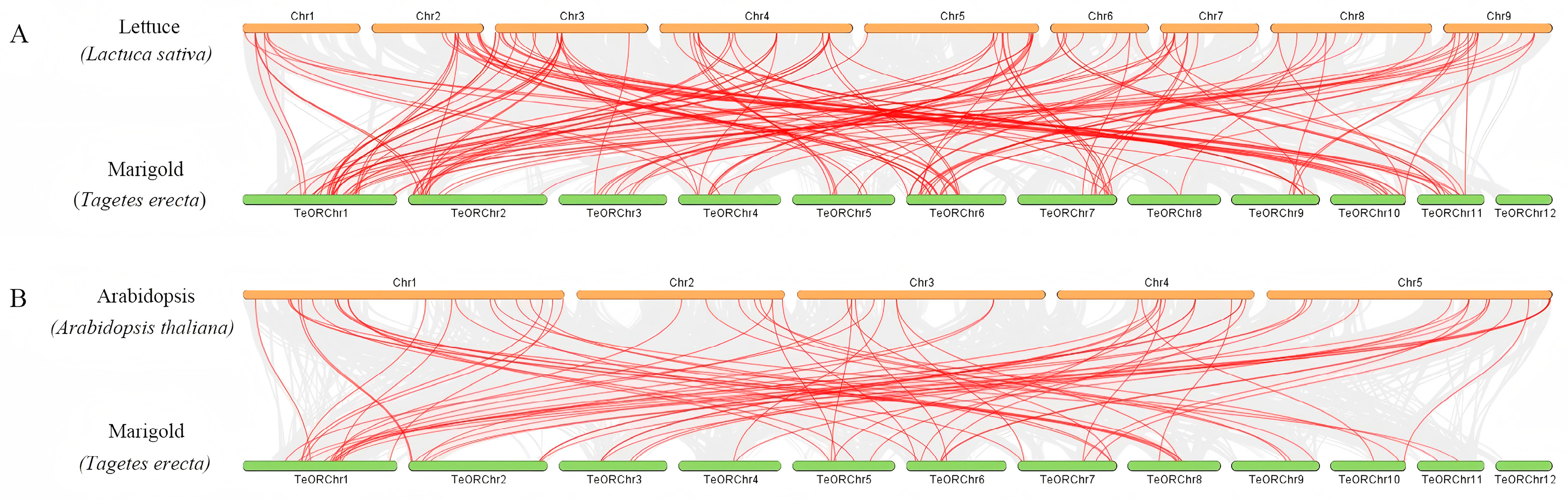 Agronomy 15 01231 g004