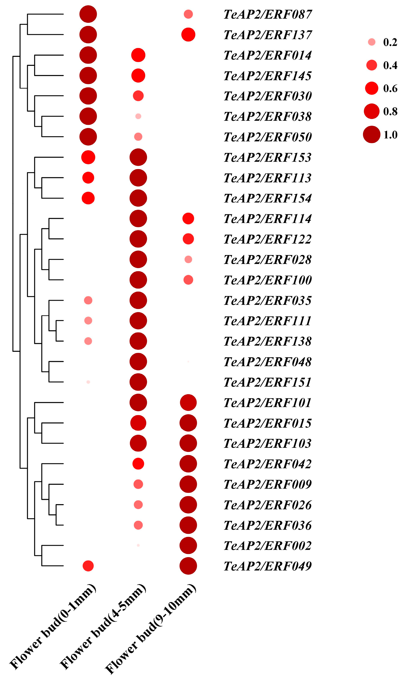 Agronomy 15 01231 g005