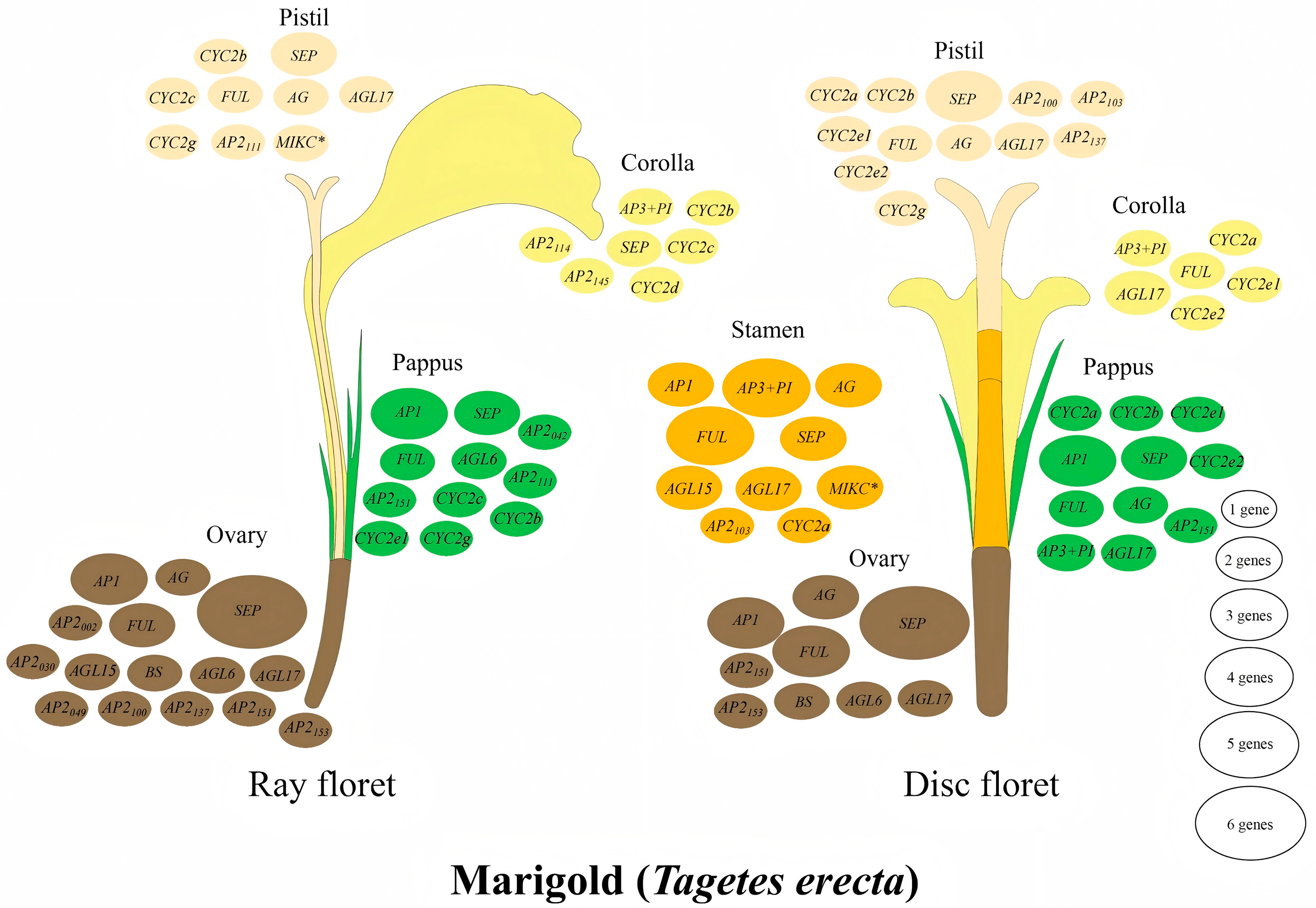 Agronomy 15 01231 g009