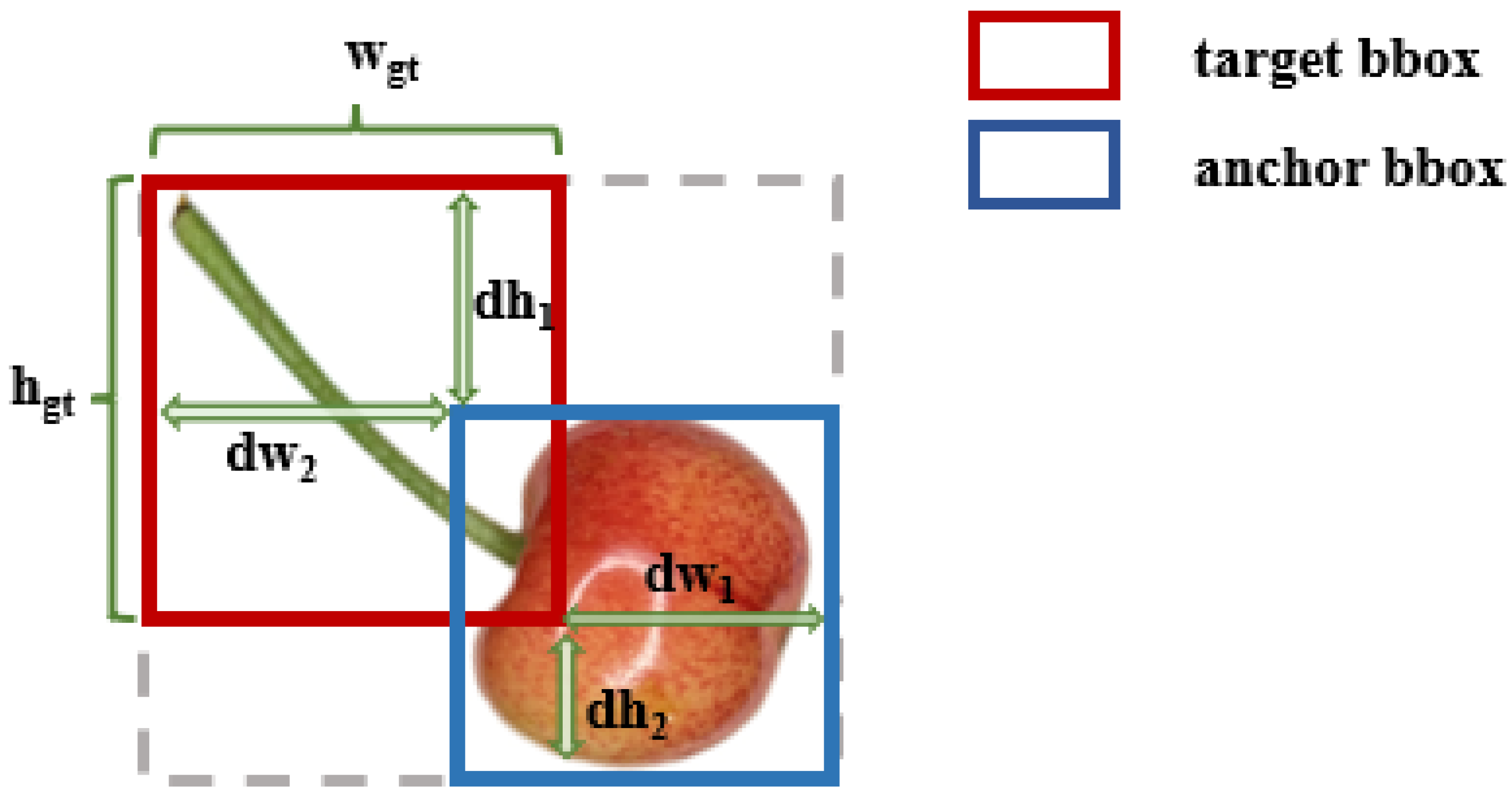 Agronomy 15 01234 g005
