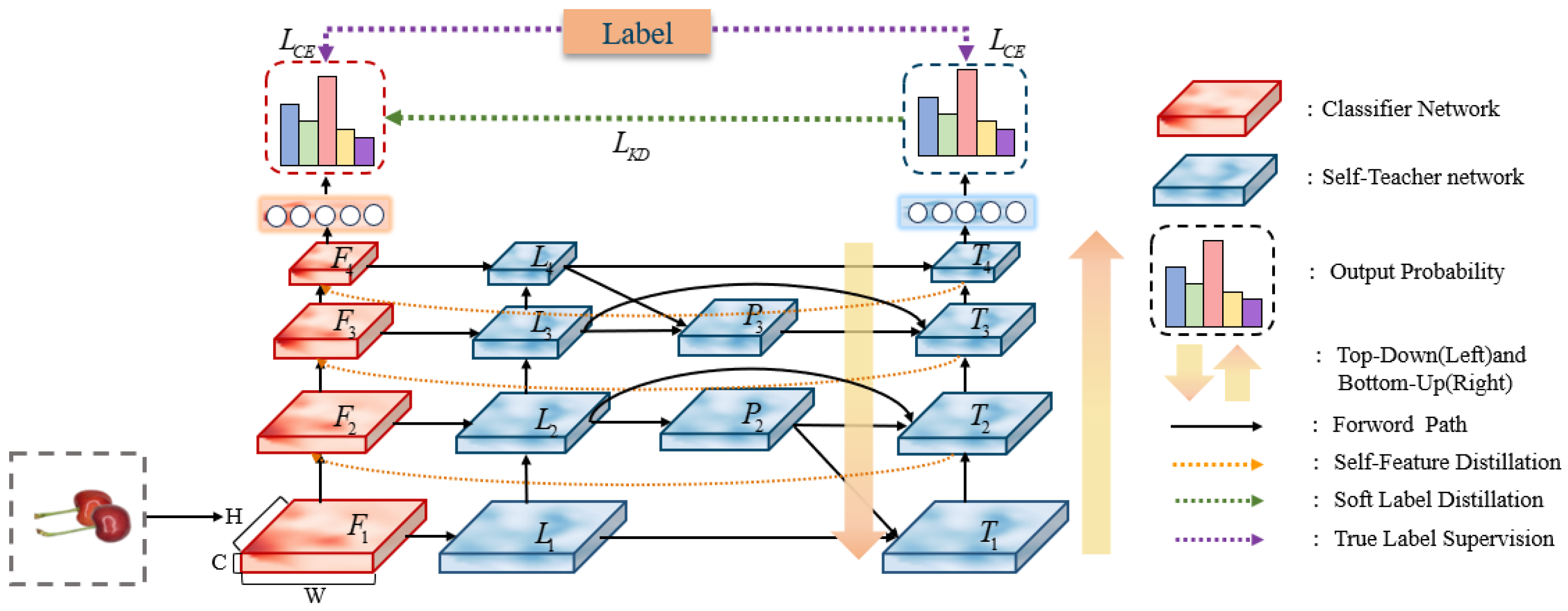 Agronomy 15 01234 g006