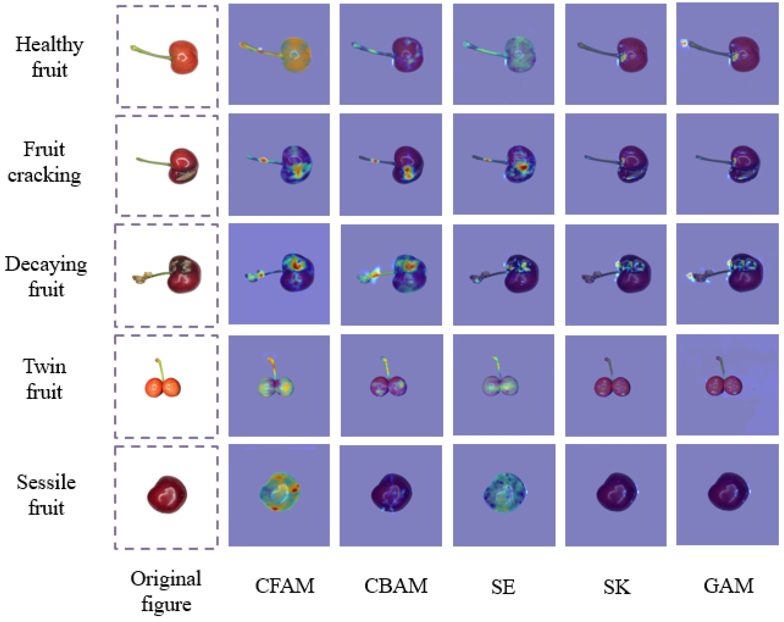 Agronomy 15 01234 g007