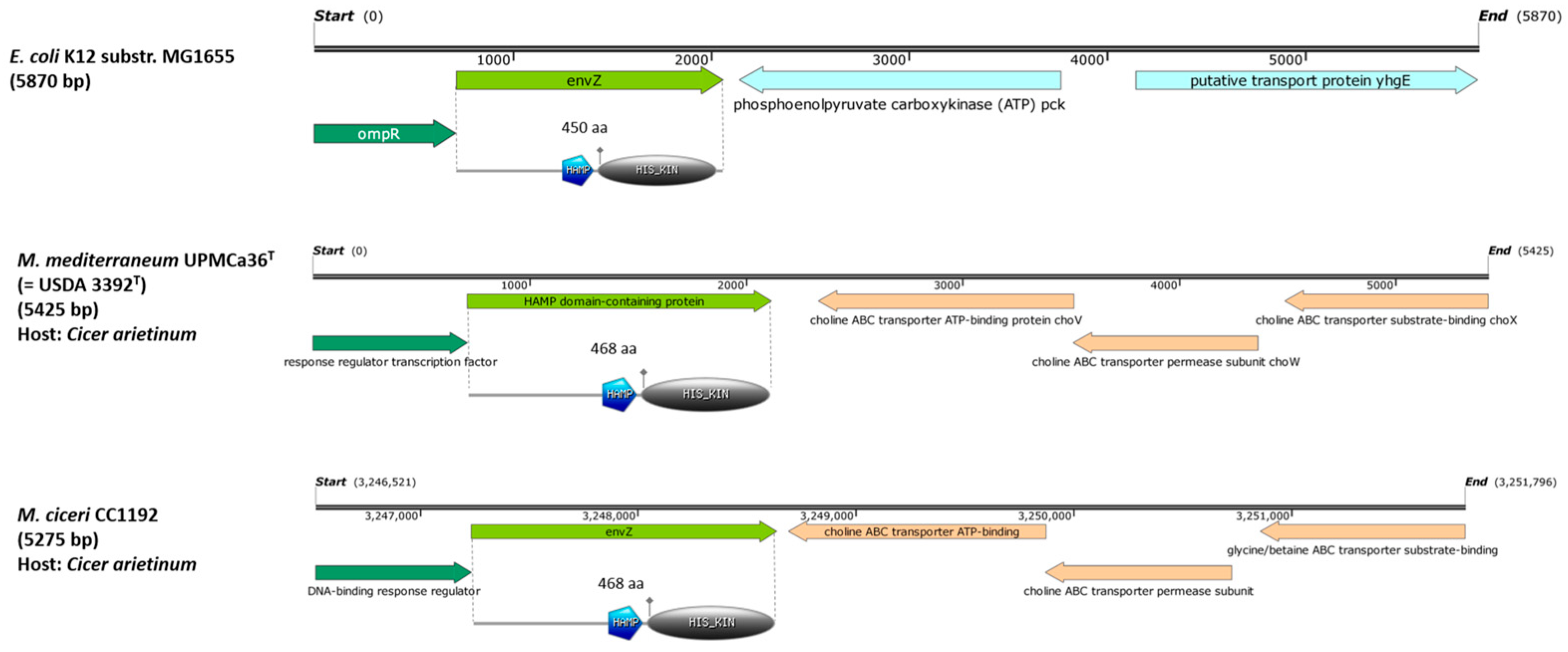 Agronomy 15 01235 g001