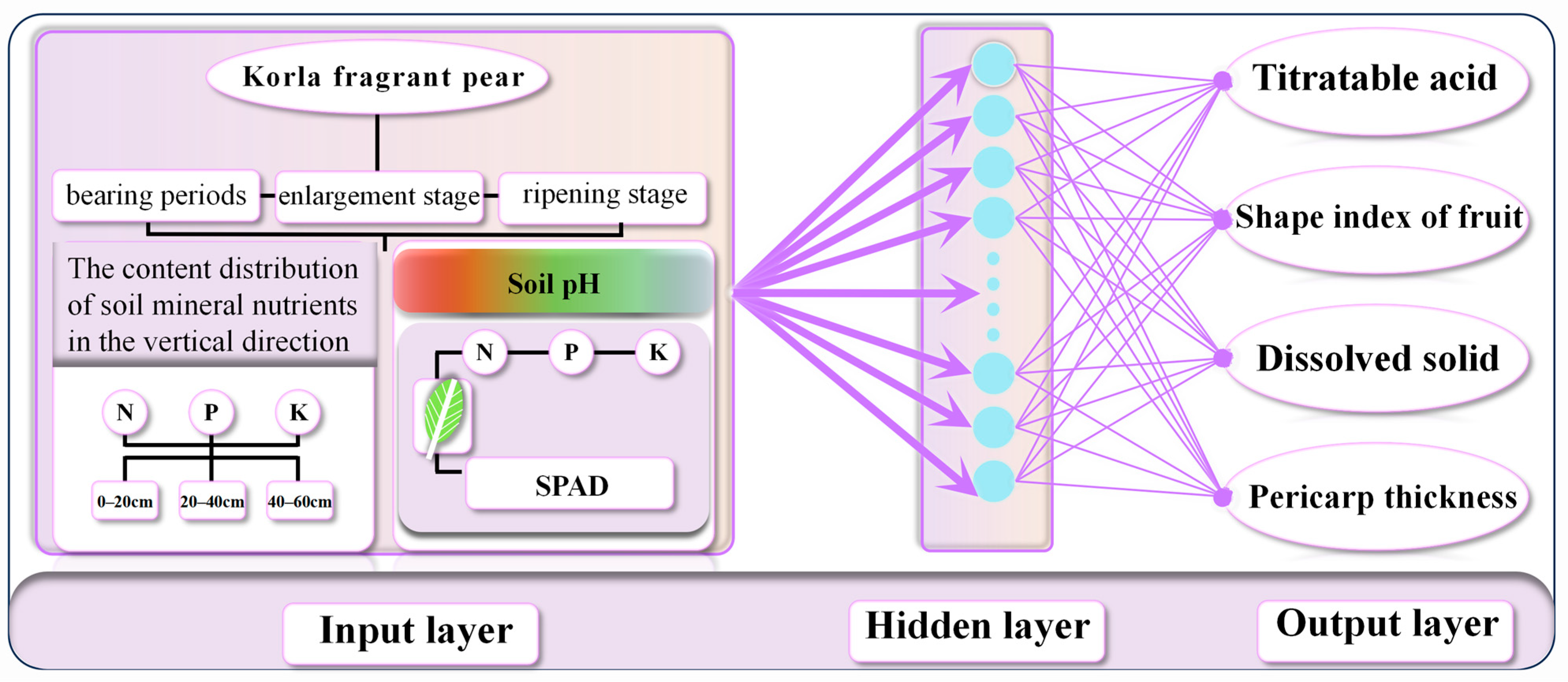 Agronomy 15 01236 g002
