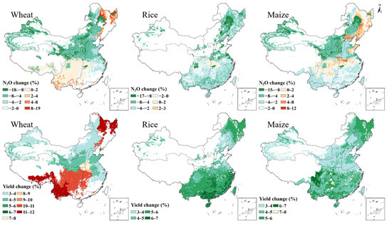 Using Machine Learning to Assess the Effects of Biochar