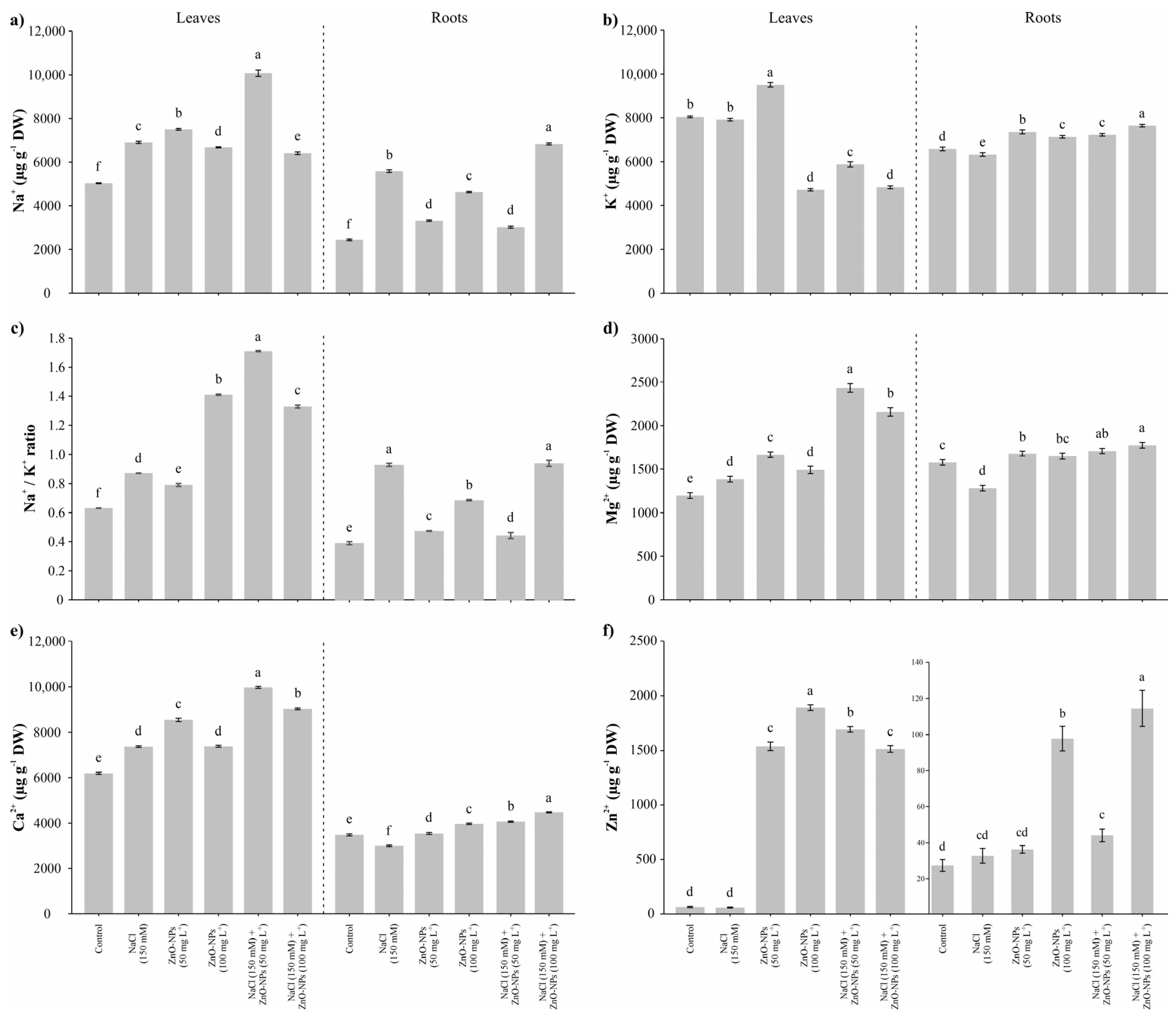Agronomy 15 01239 g003