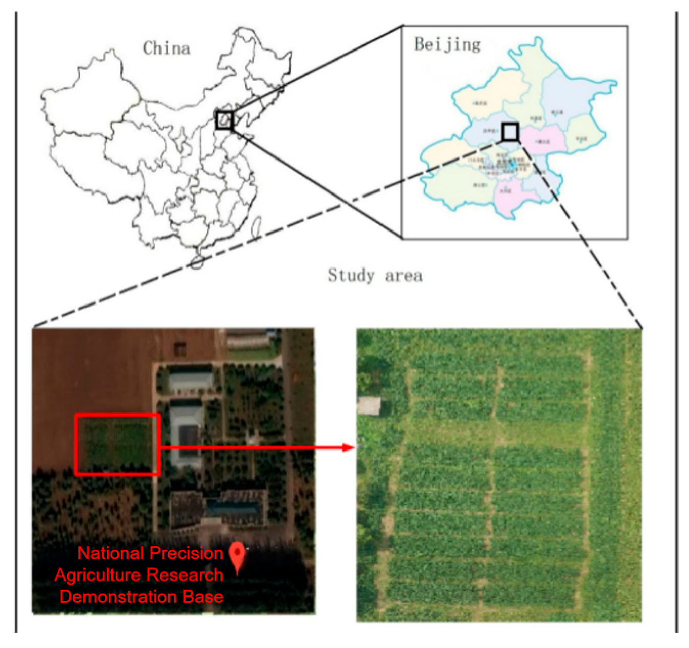 Agronomy 15 01240 g001