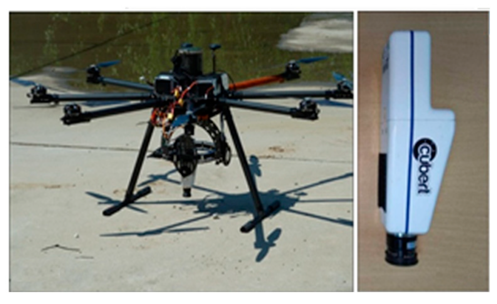 Agronomy 15 01240 g004