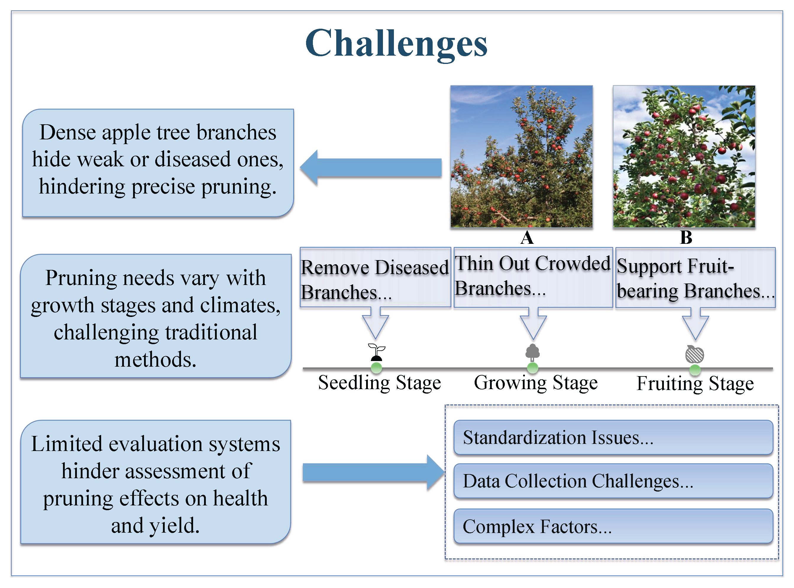 Agronomy 15 01242 g001
