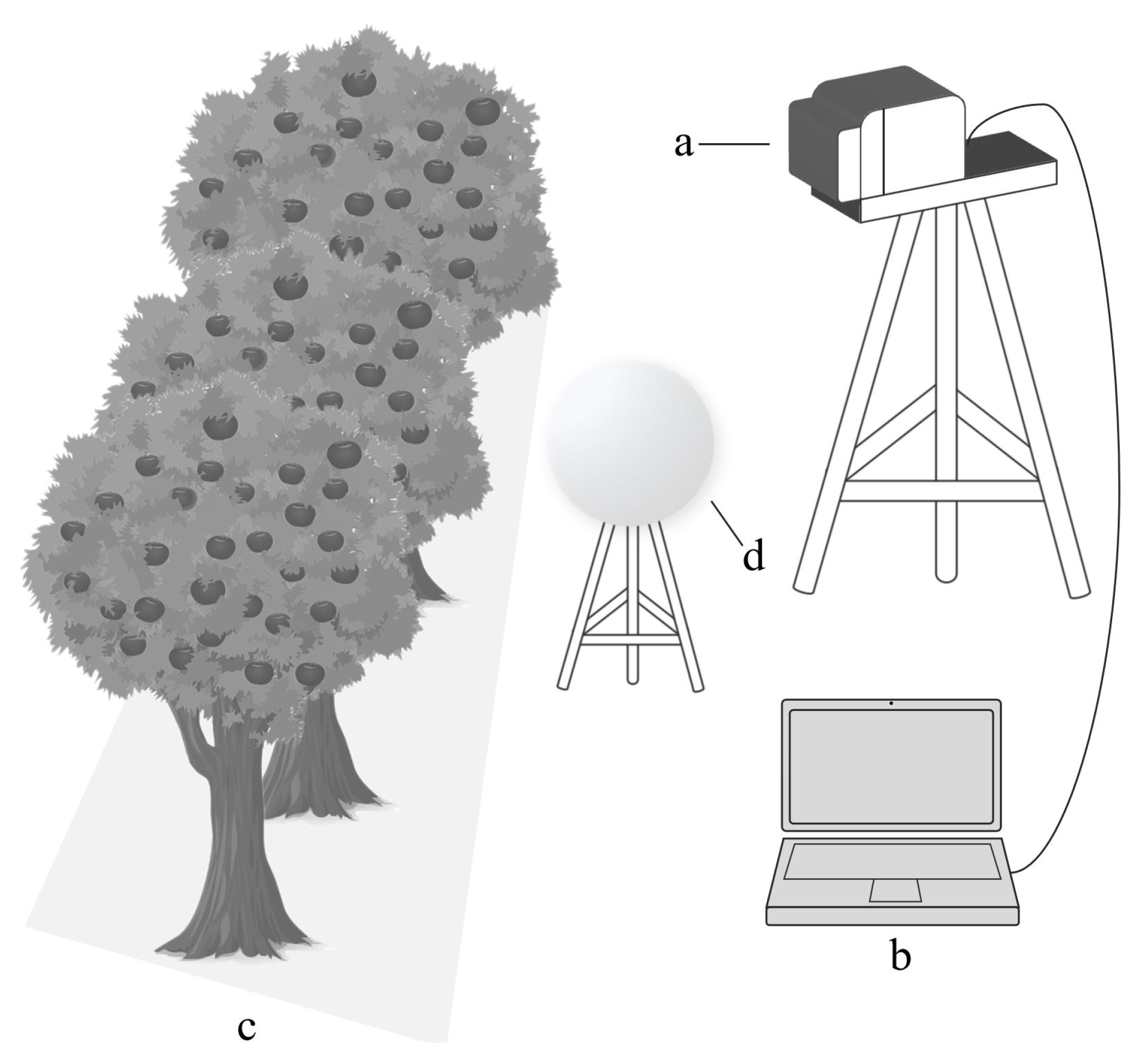 Agronomy 15 01242 g002
