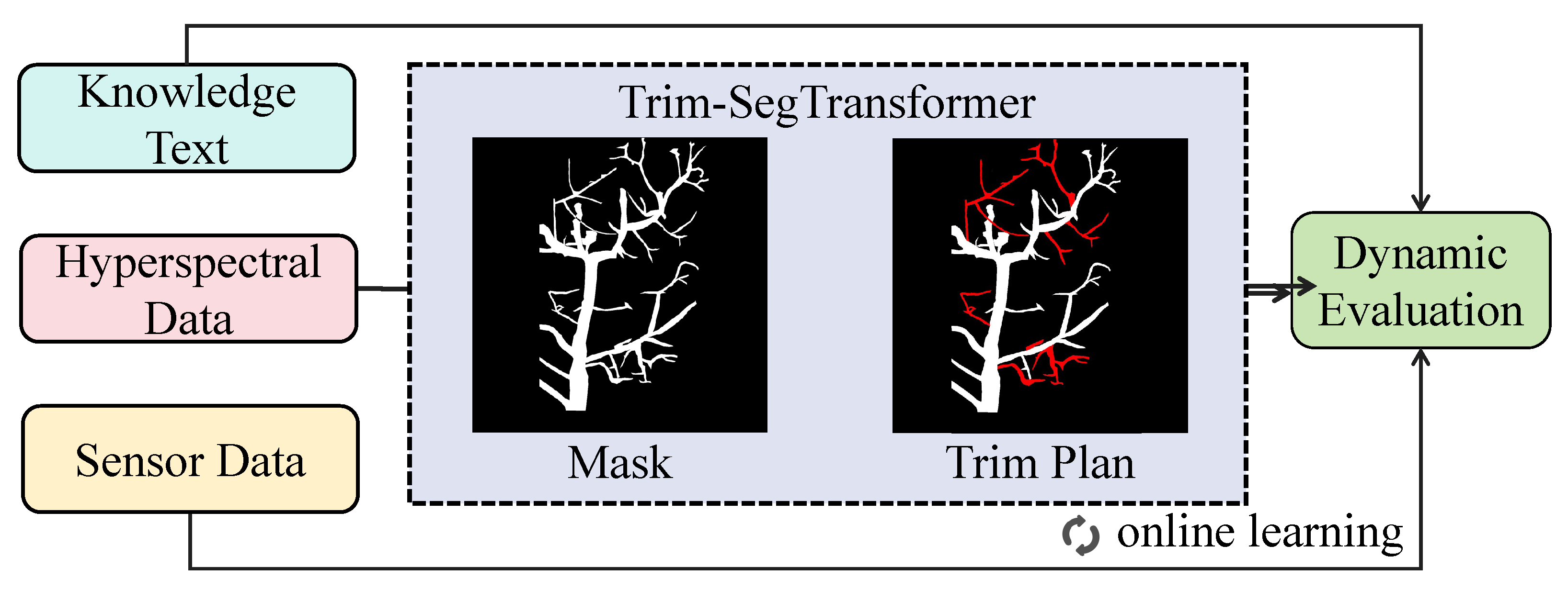 Agronomy 15 01242 g004