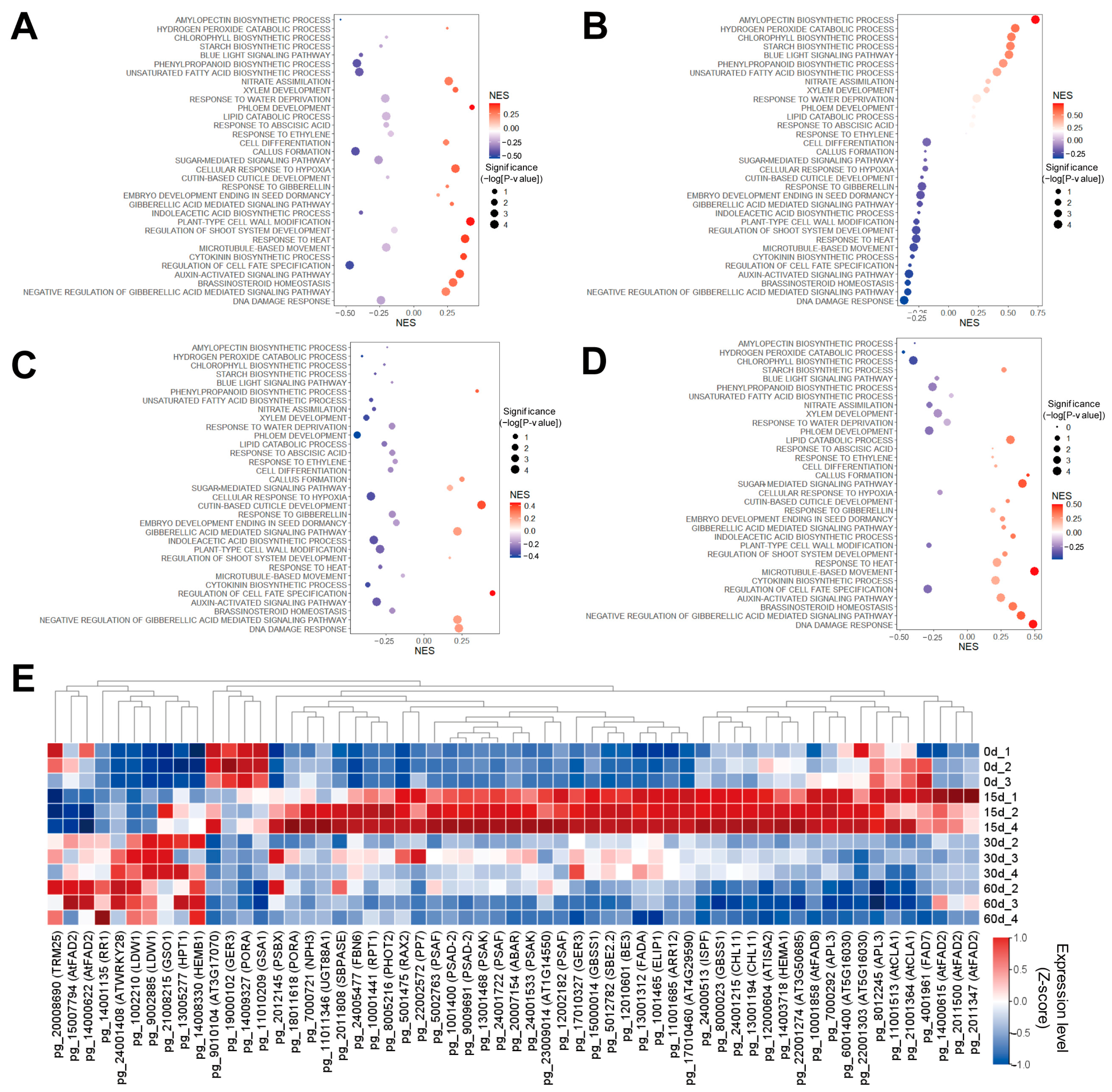 Agronomy 15 01244 g003