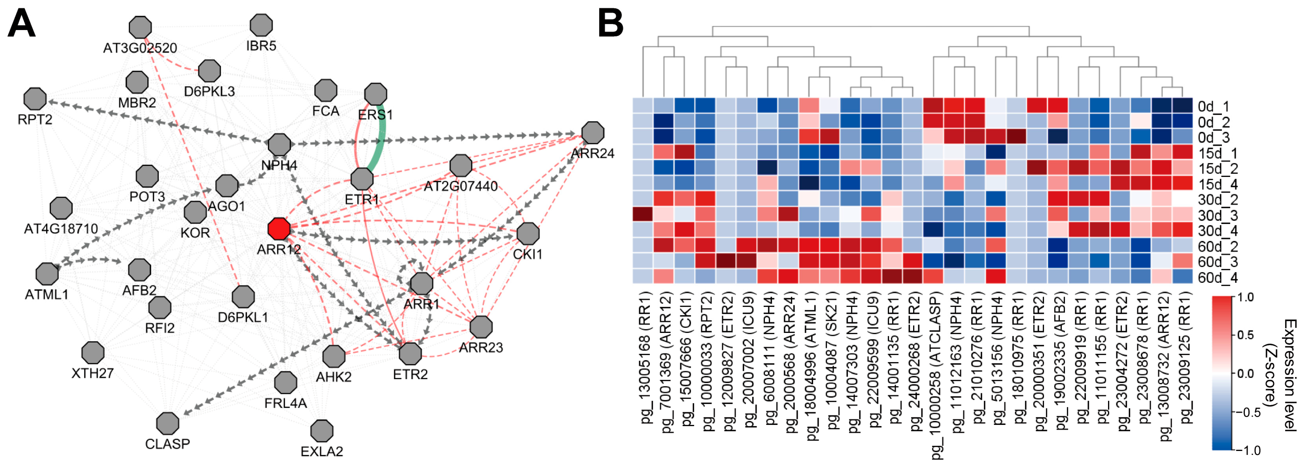 Agronomy 15 01244 g004