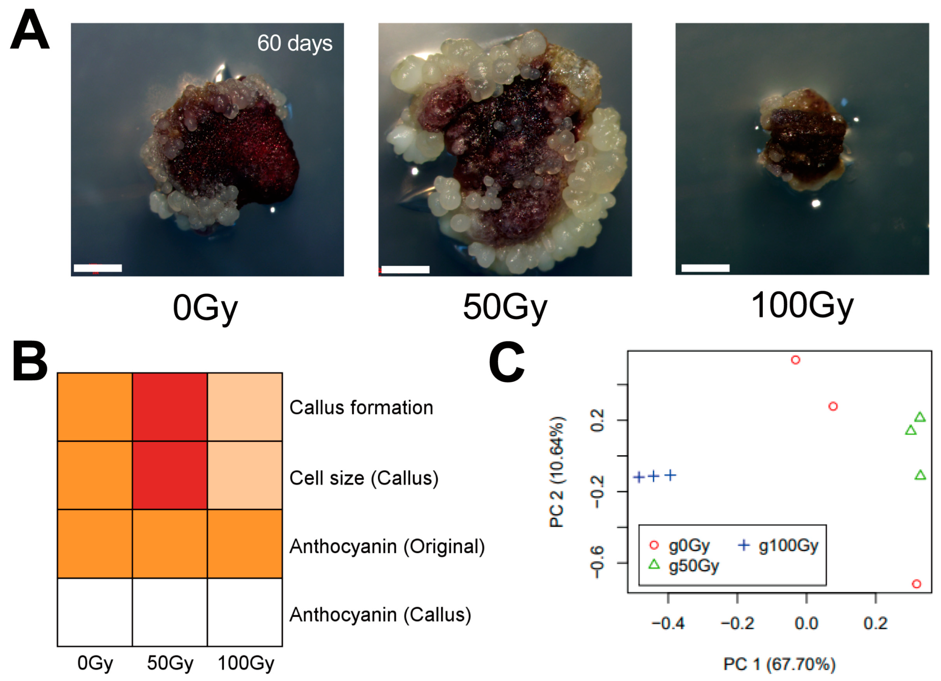 Agronomy 15 01244 g005