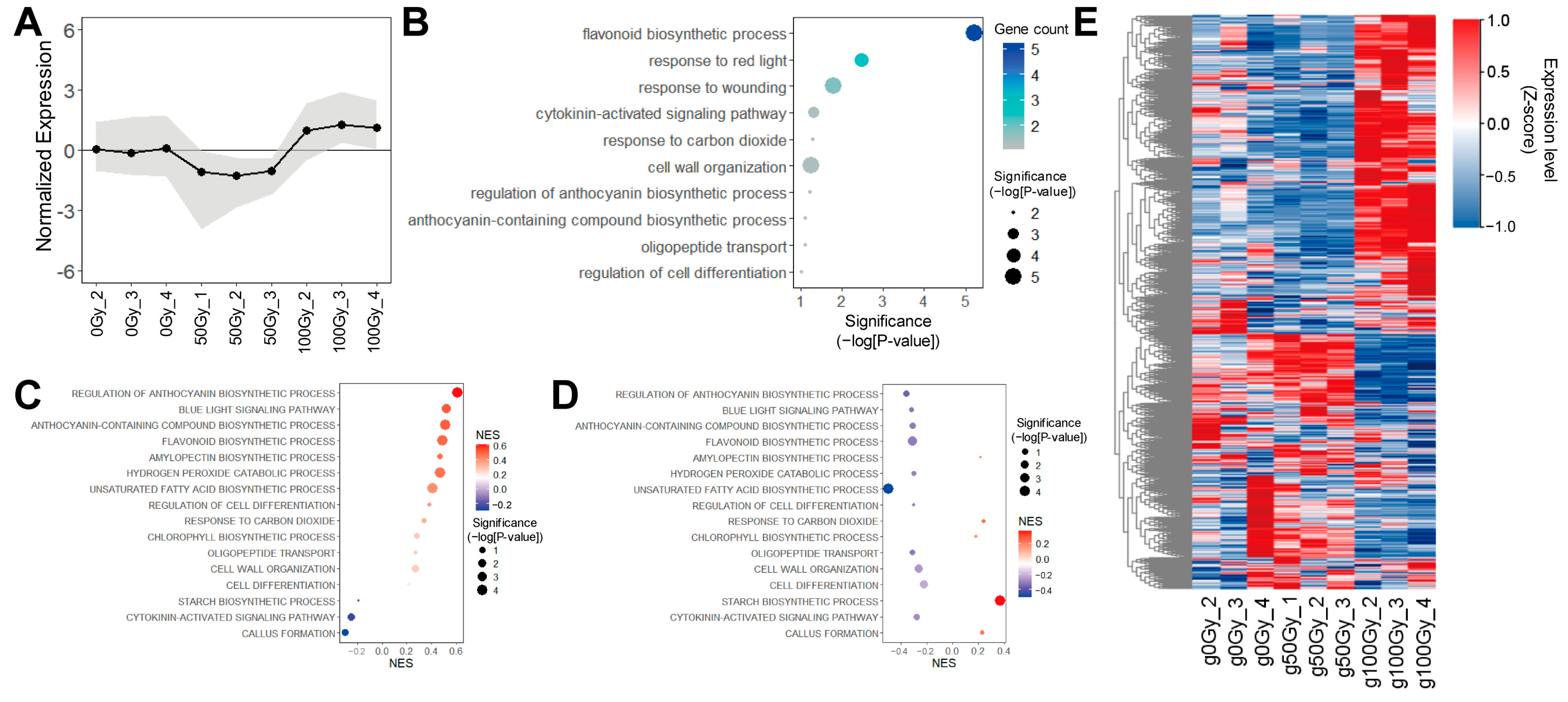 Agronomy 15 01244 g006