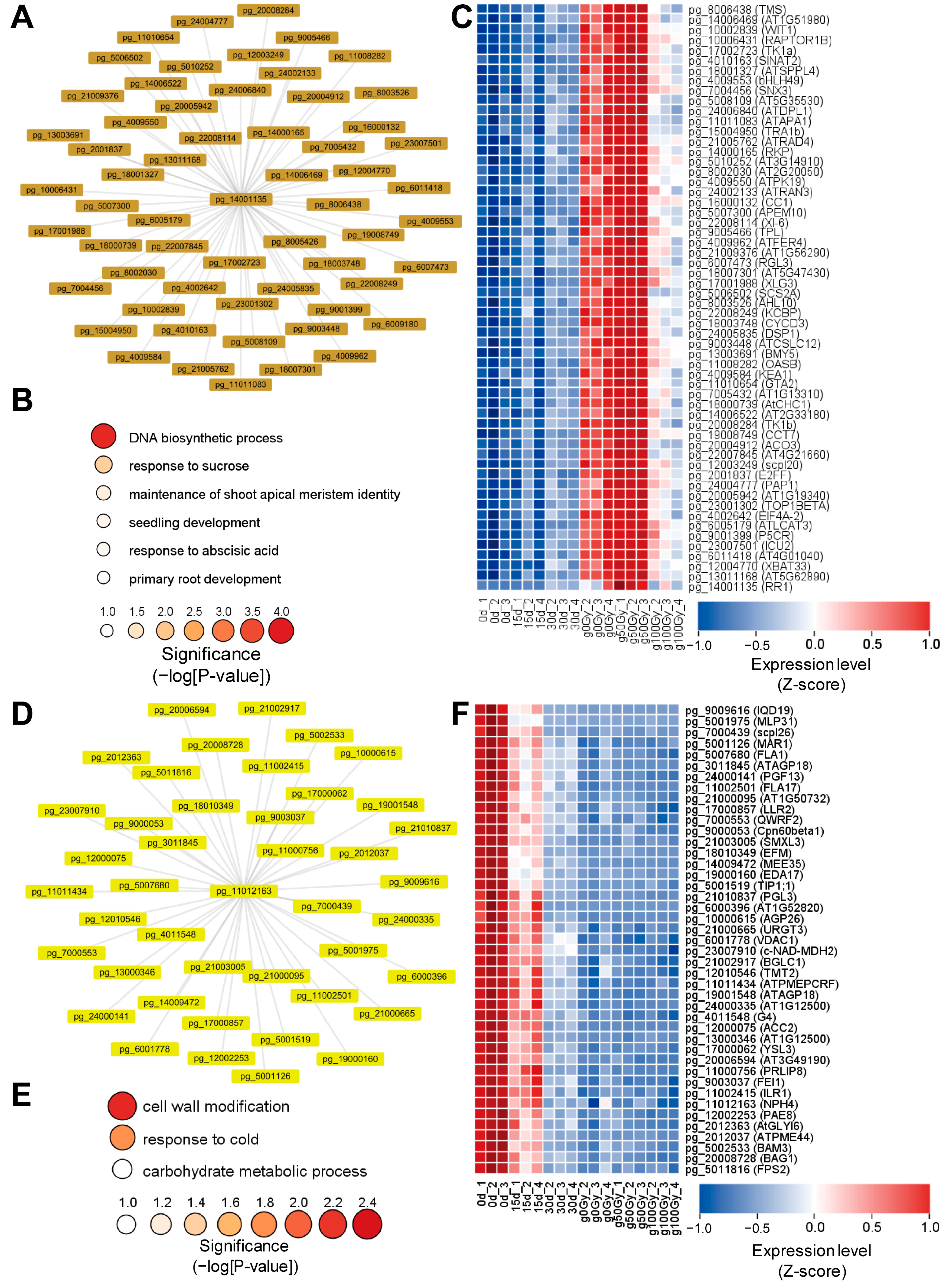 Agronomy 15 01244 g009
