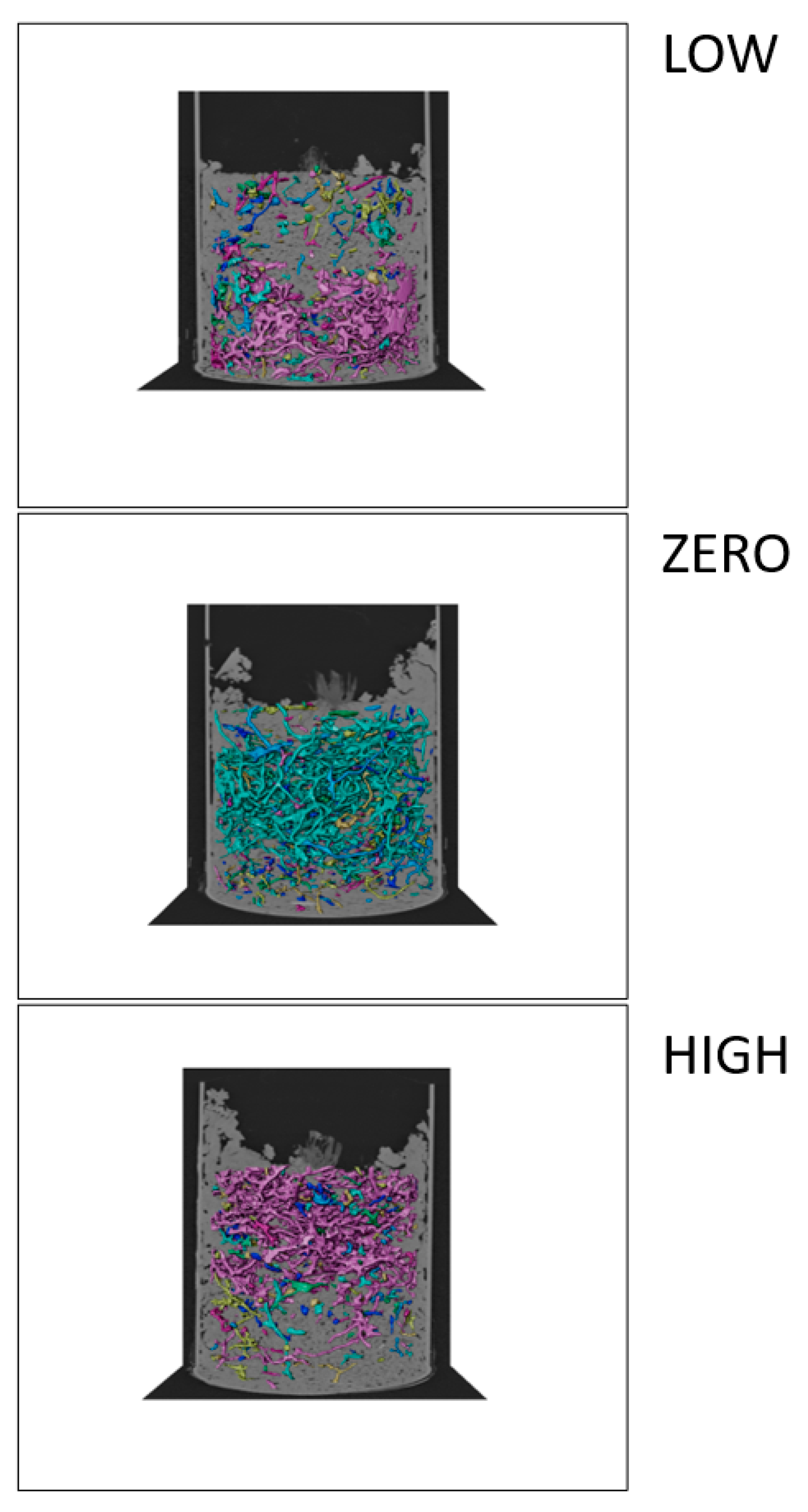 Agronomy 15 01245 g001