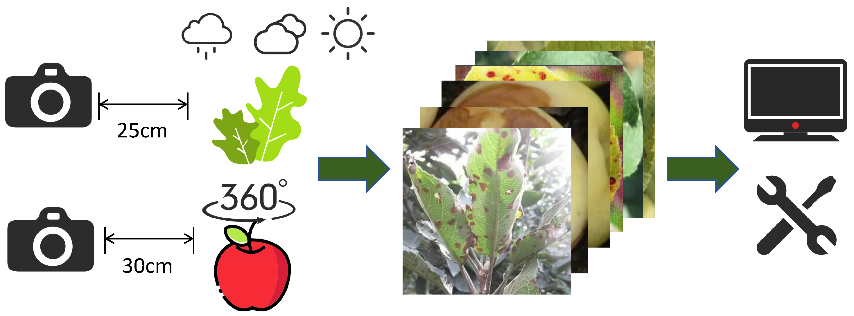 Agronomy 15 01246 g005