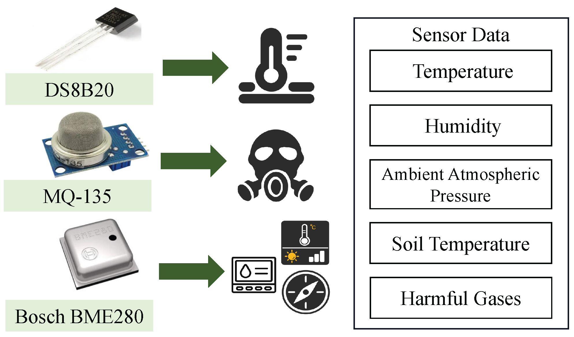 Agronomy 15 01246 g007
