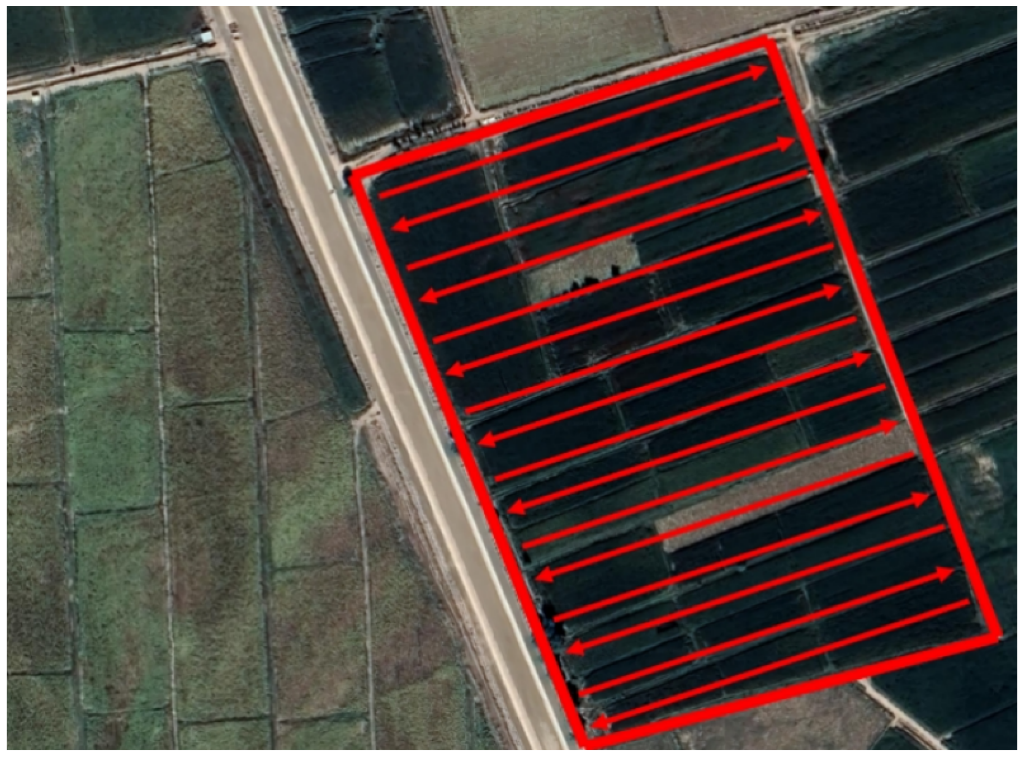 Agronomy 15 01246 g008